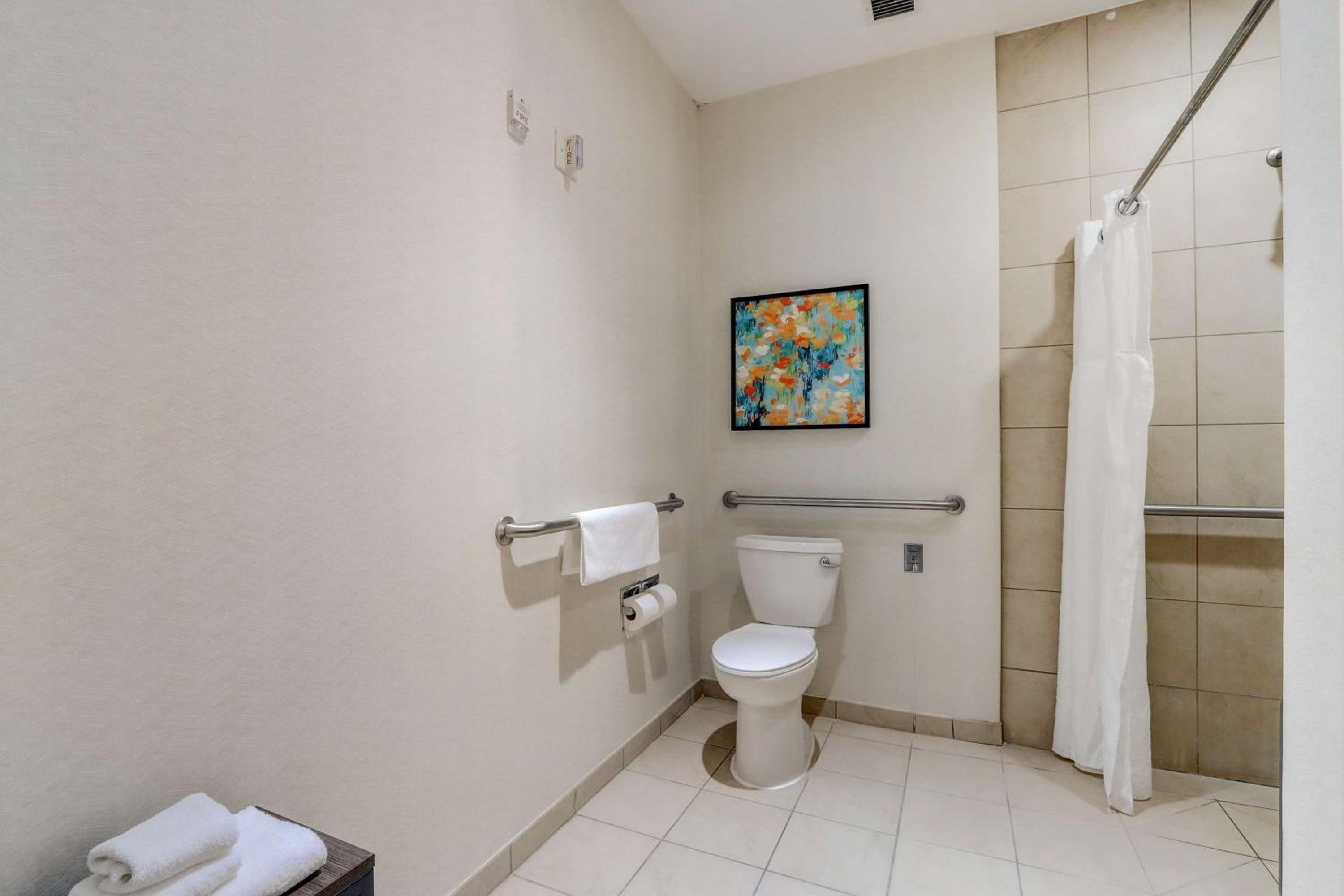 King Room with Roll-In Shower - Mobility Access - Photo 5