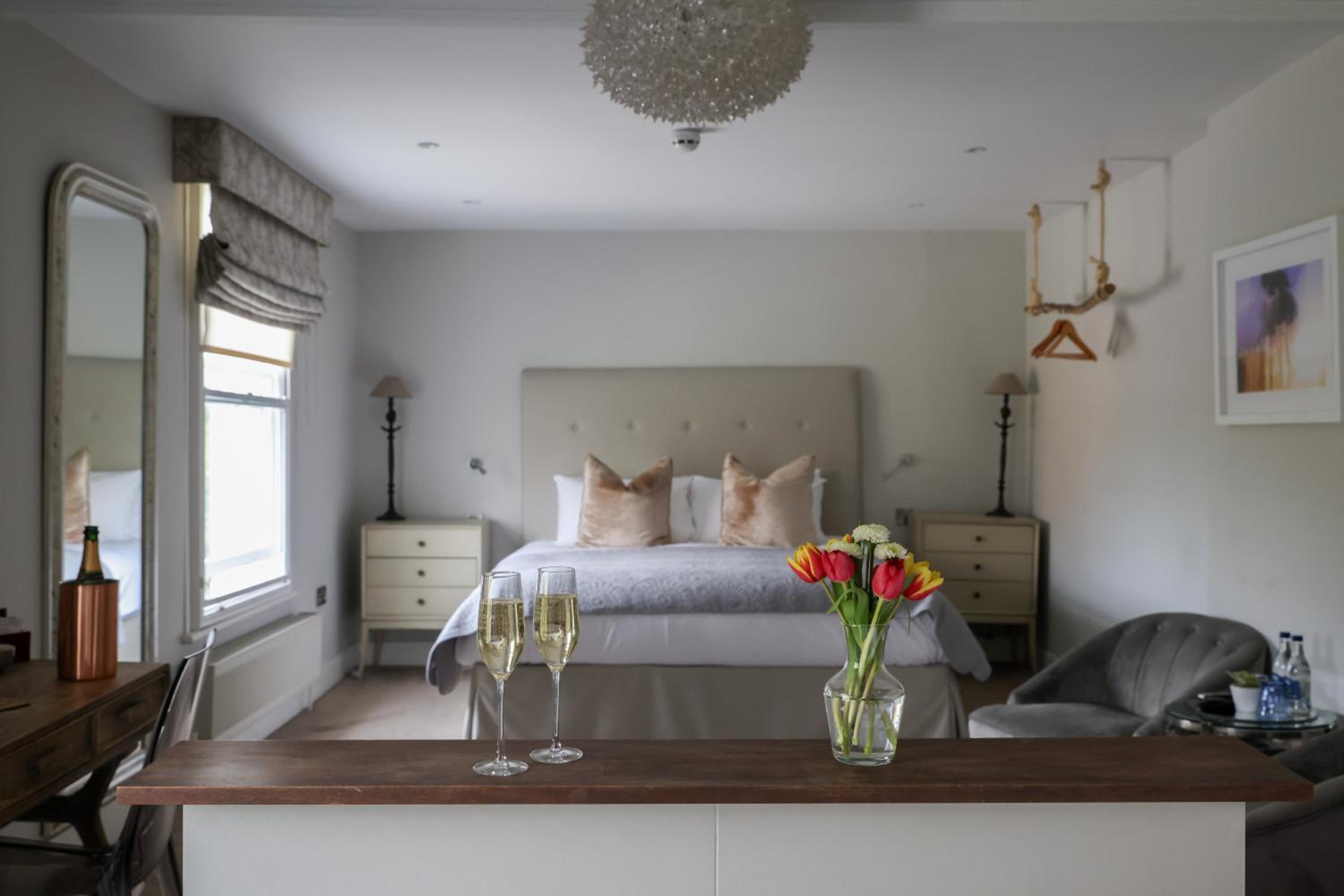 Suite - Photo 1
