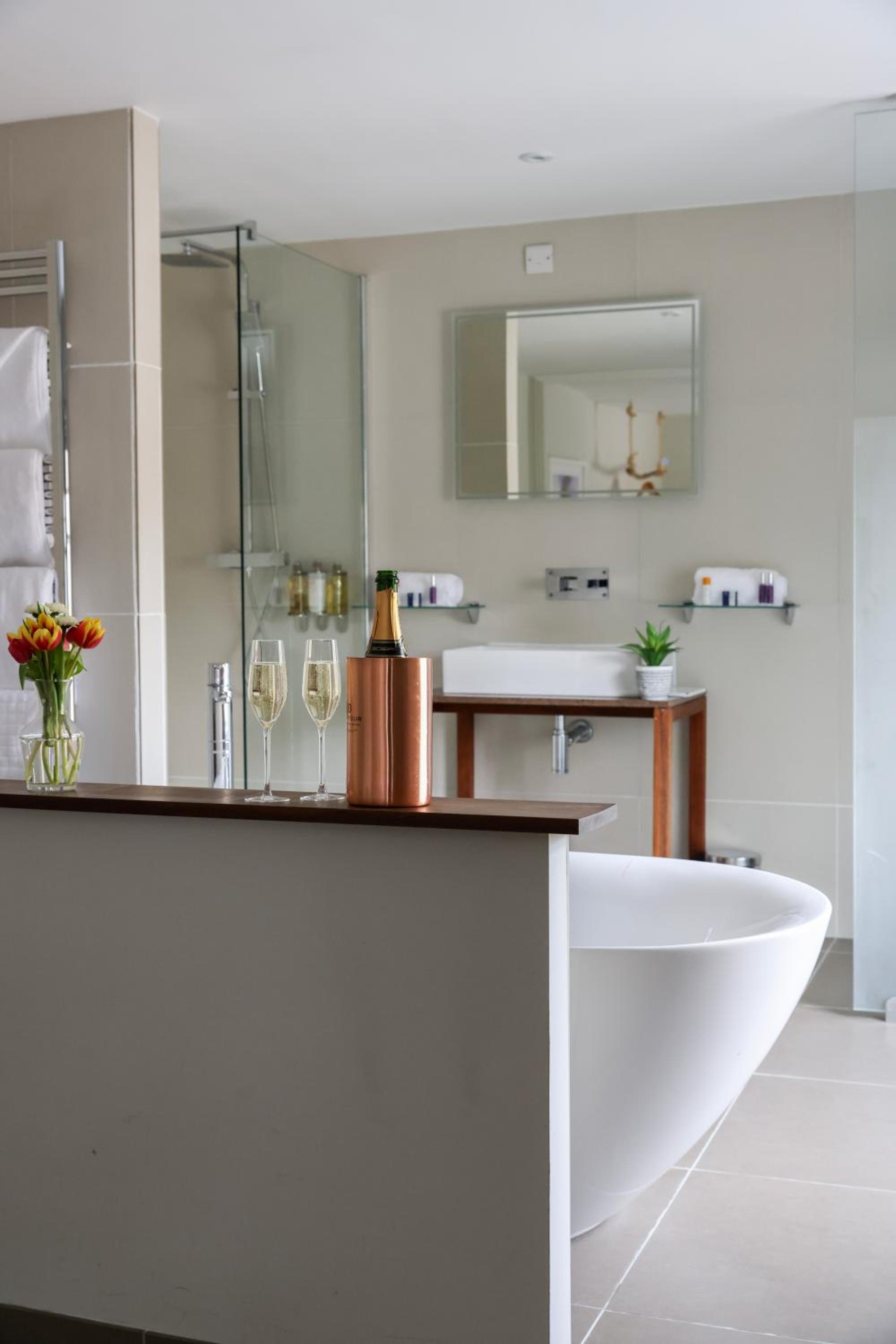 Suite - Photo 6