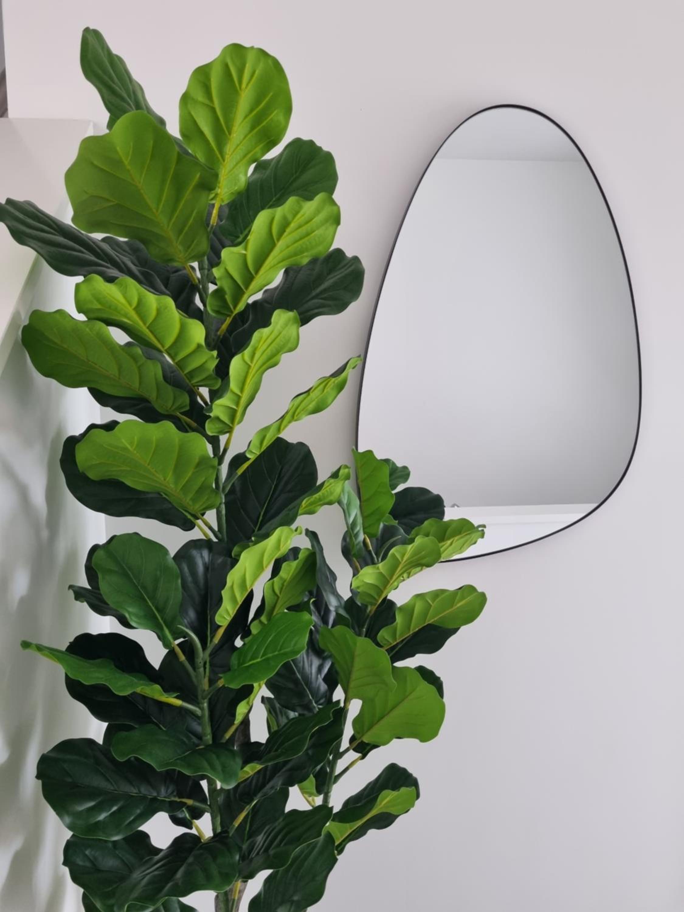 Apartment - Split Level photo 3