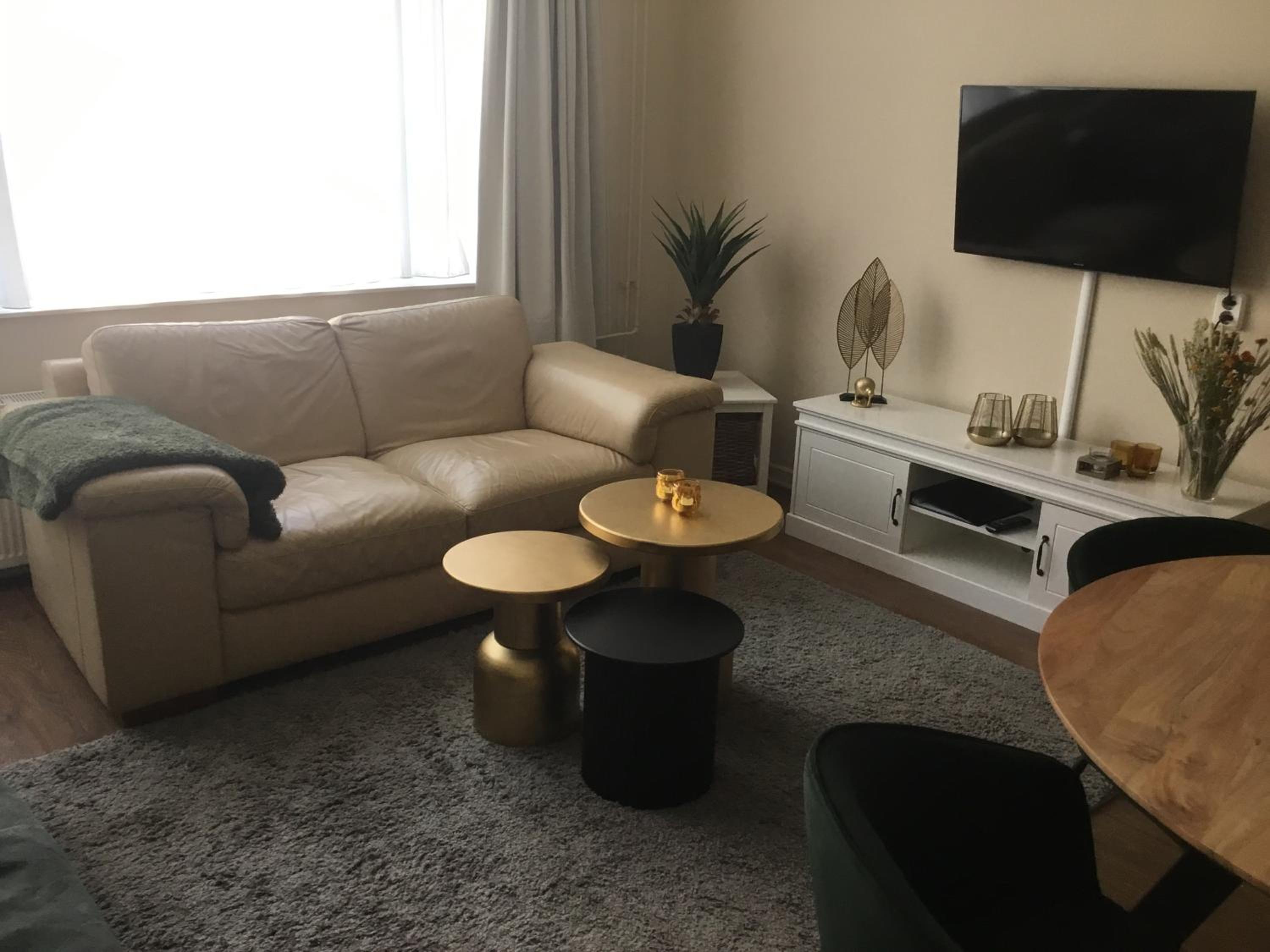Studio Apartment photo 1