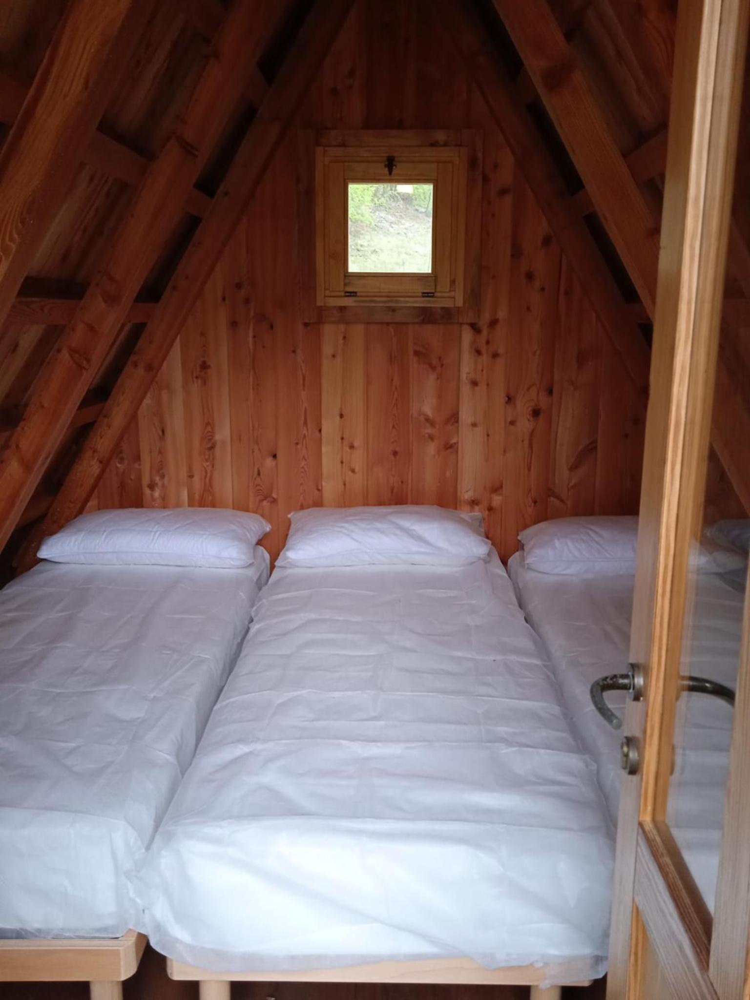 Twin Room photo 1