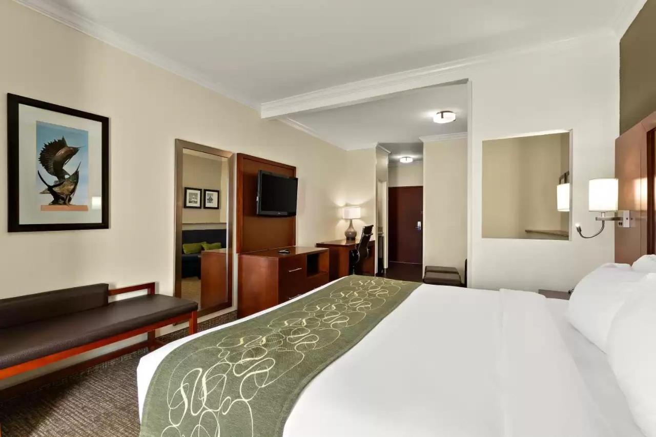 King Suite with Balcony - Non-Smoking - Photo 1