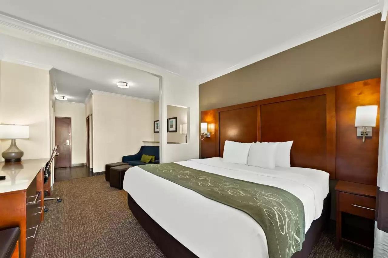 King Suite - Non-Smoking - Photo 4
