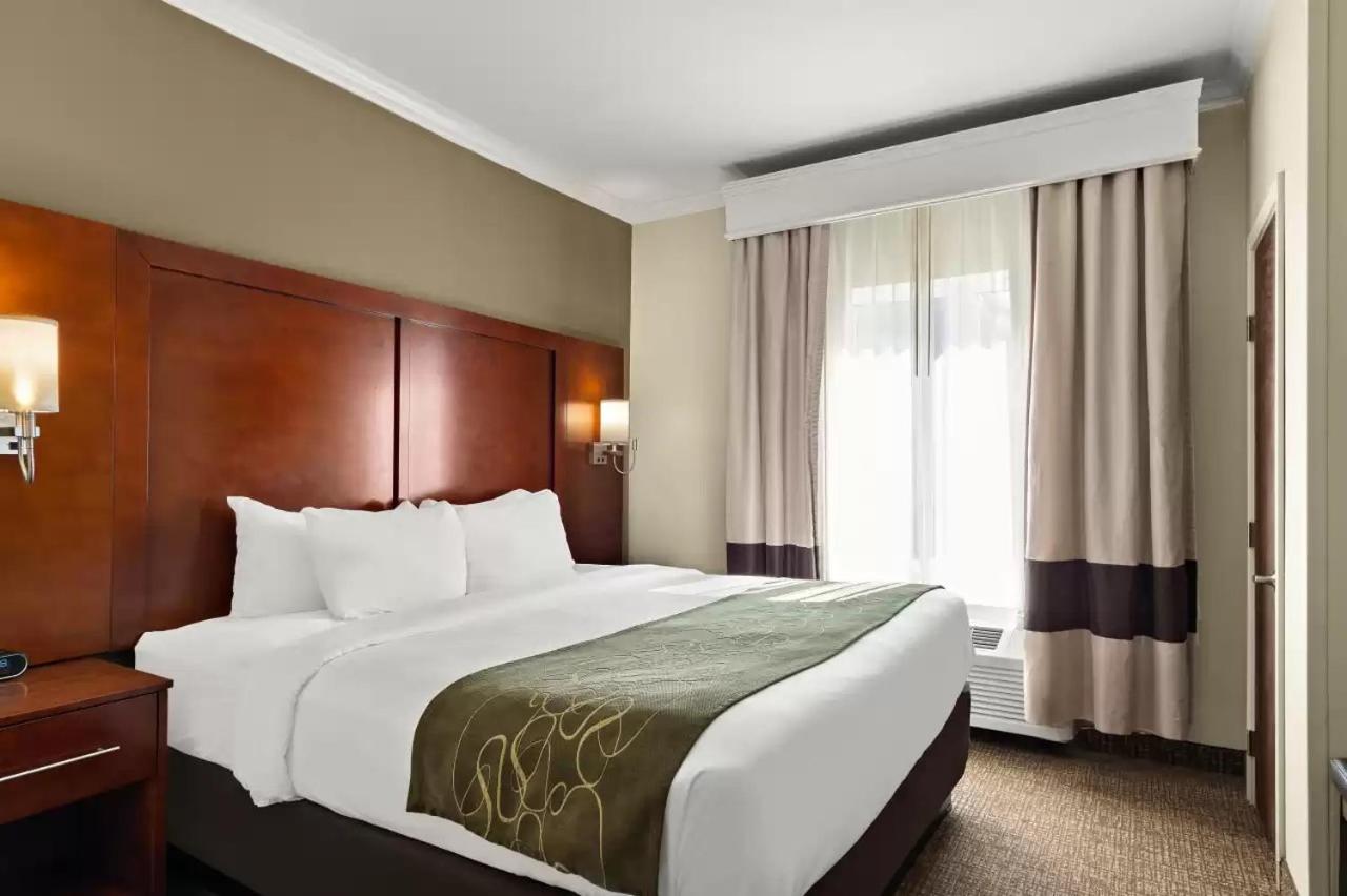 King Suite  - Accessible/Non-Smoking - Photo 2