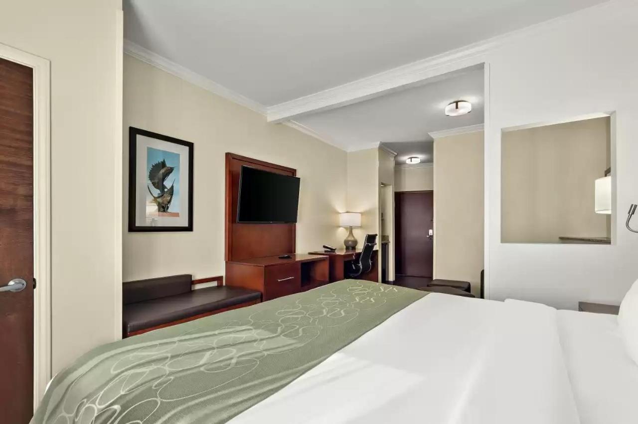 King Suite  - Accessible/Non-Smoking - Photo 1