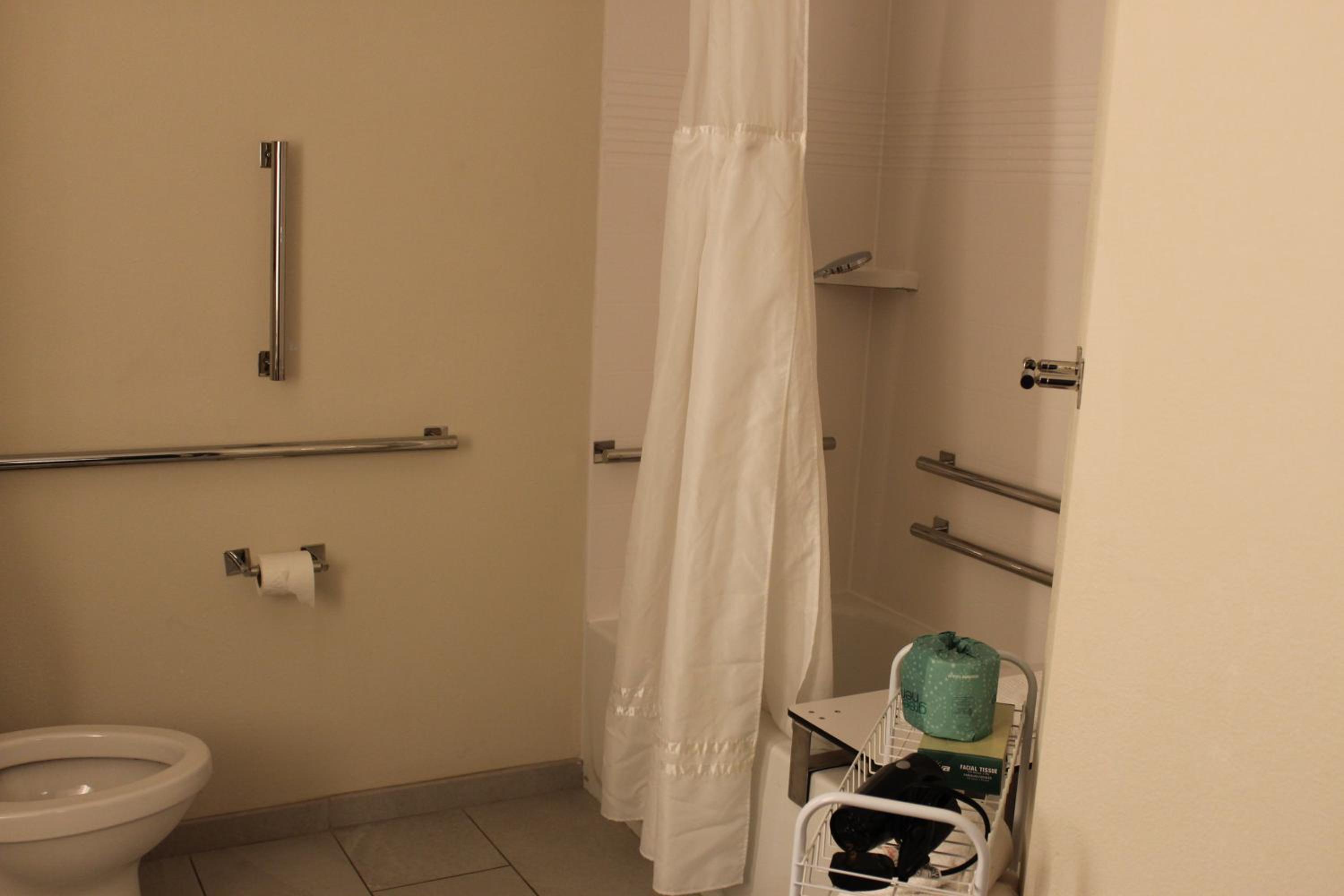 One-Bedroom Suite - Photo 4