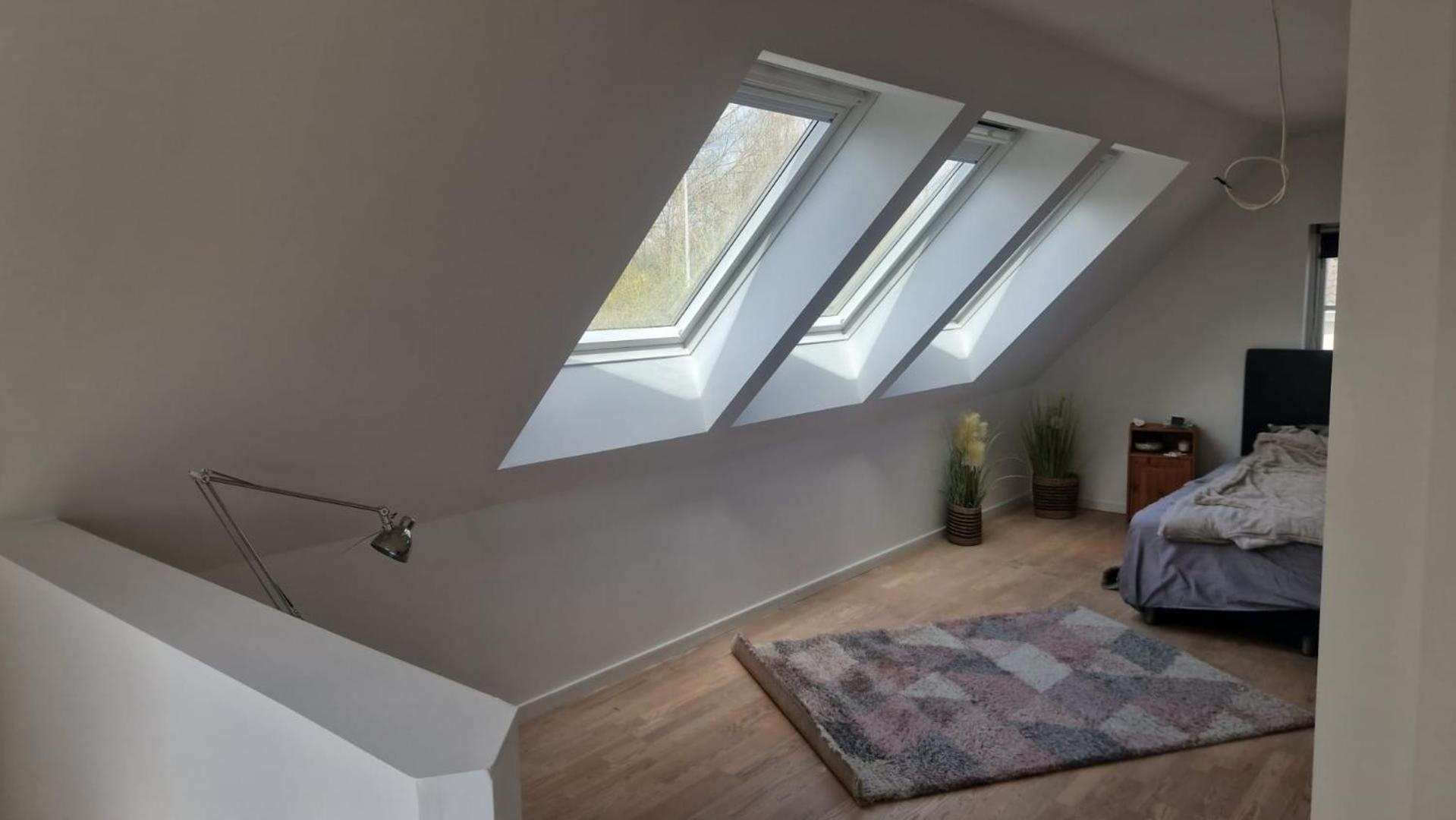 One-Bedroom House photo 3