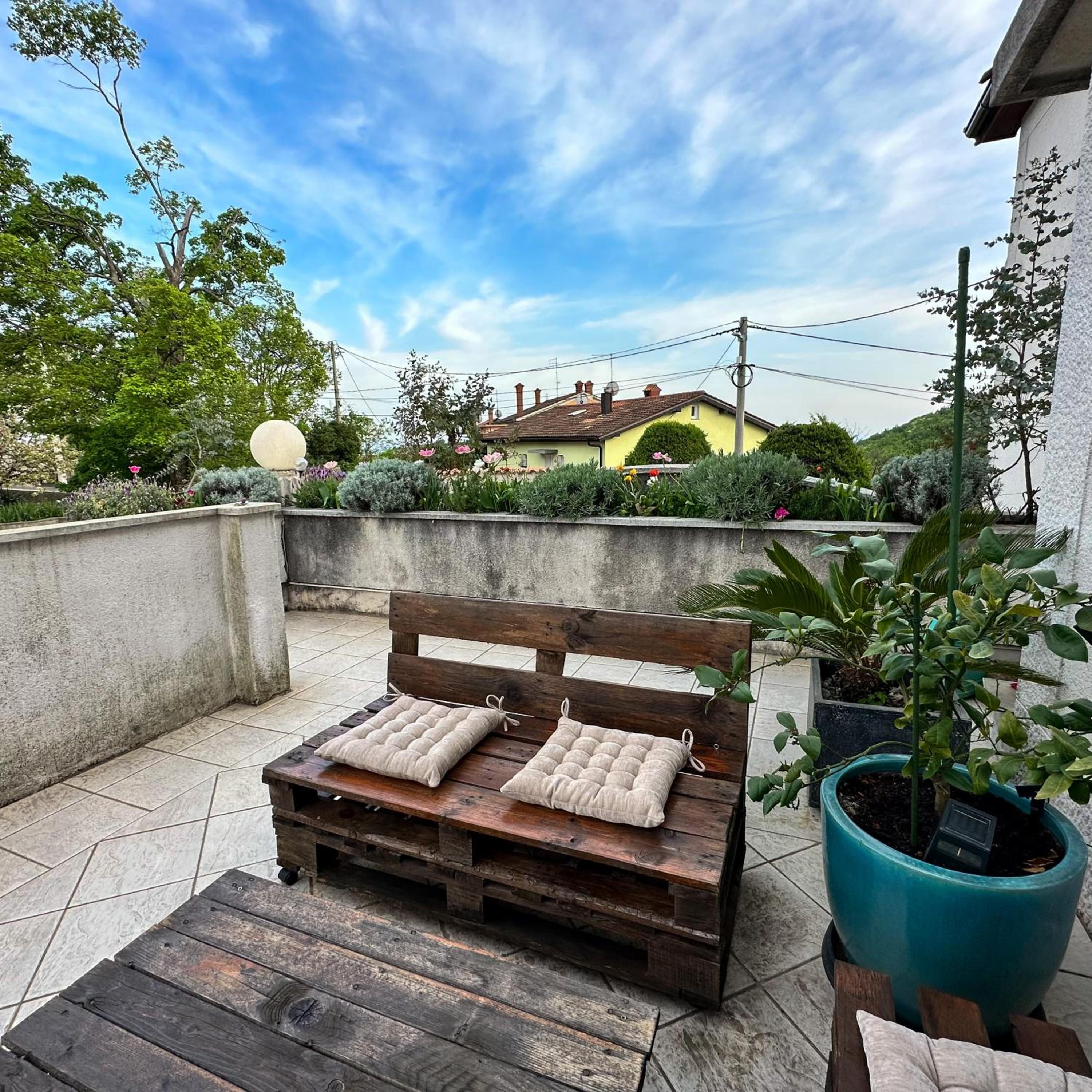 Studio with Terrace photo 2