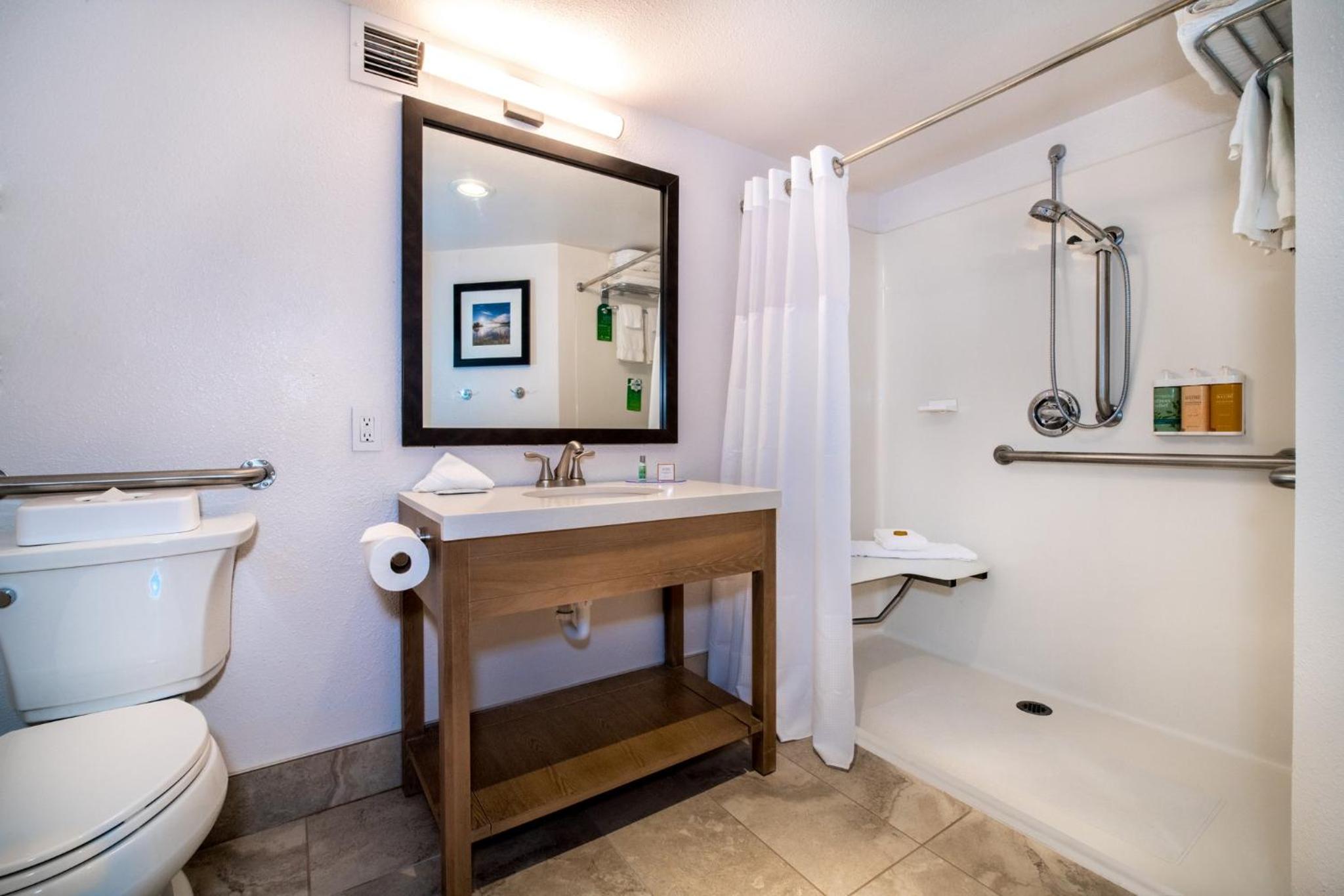 King Room with Roll-In Shower - Mobility Access - Photo 3