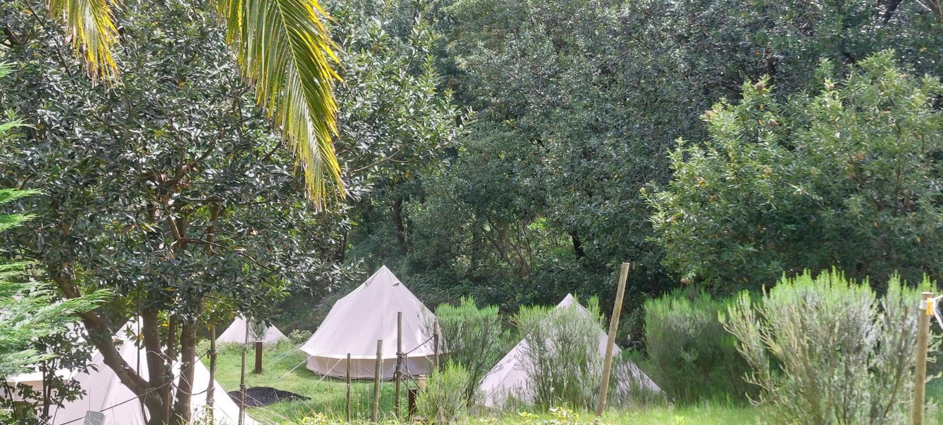 Tent photo 3