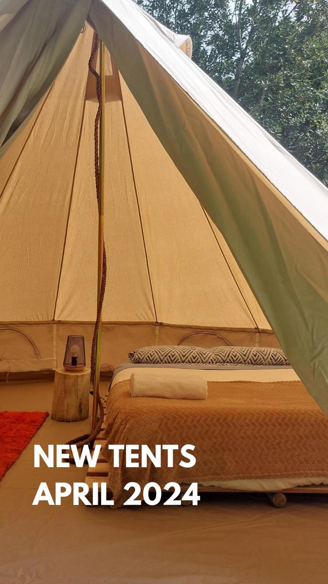 Tent photo 2
