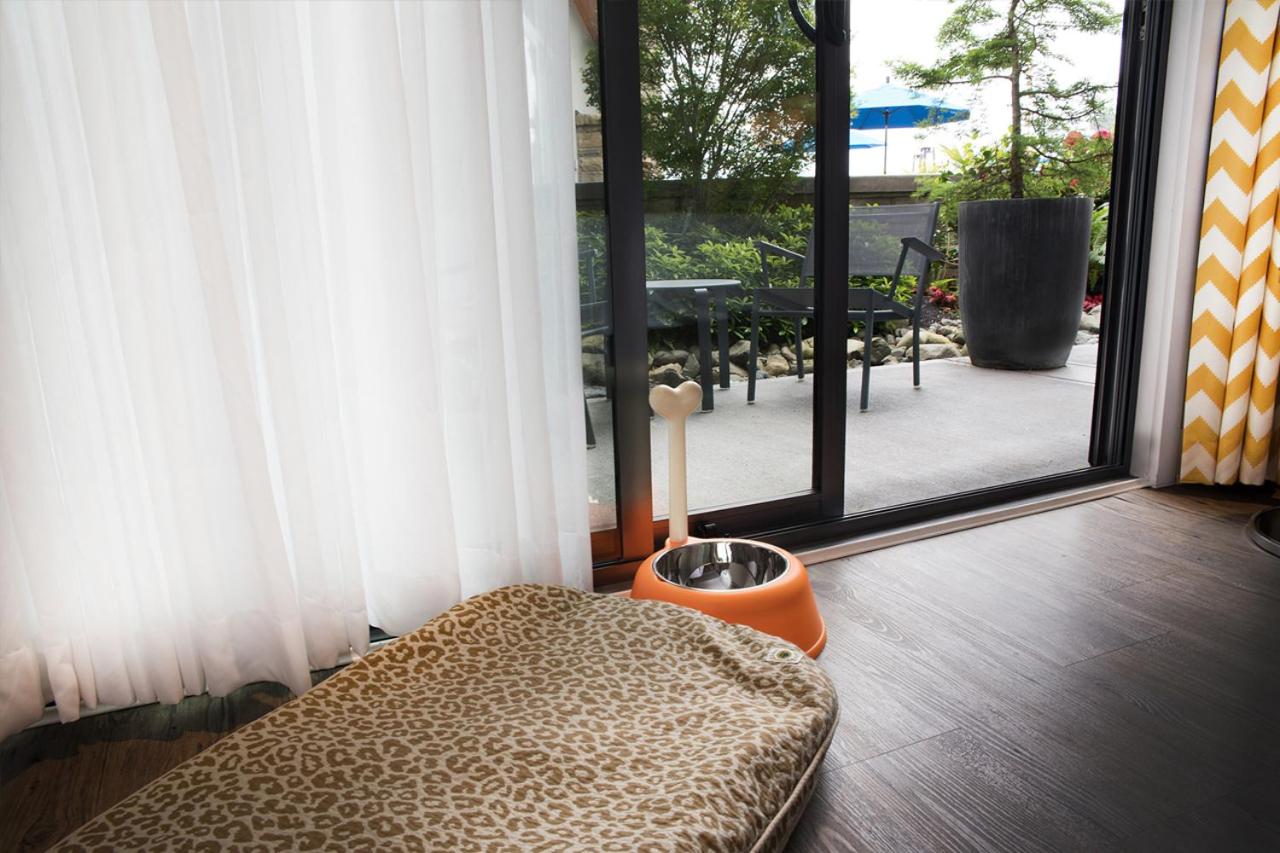 Double Room with Two Double Beds - Pet Friendly photo 3