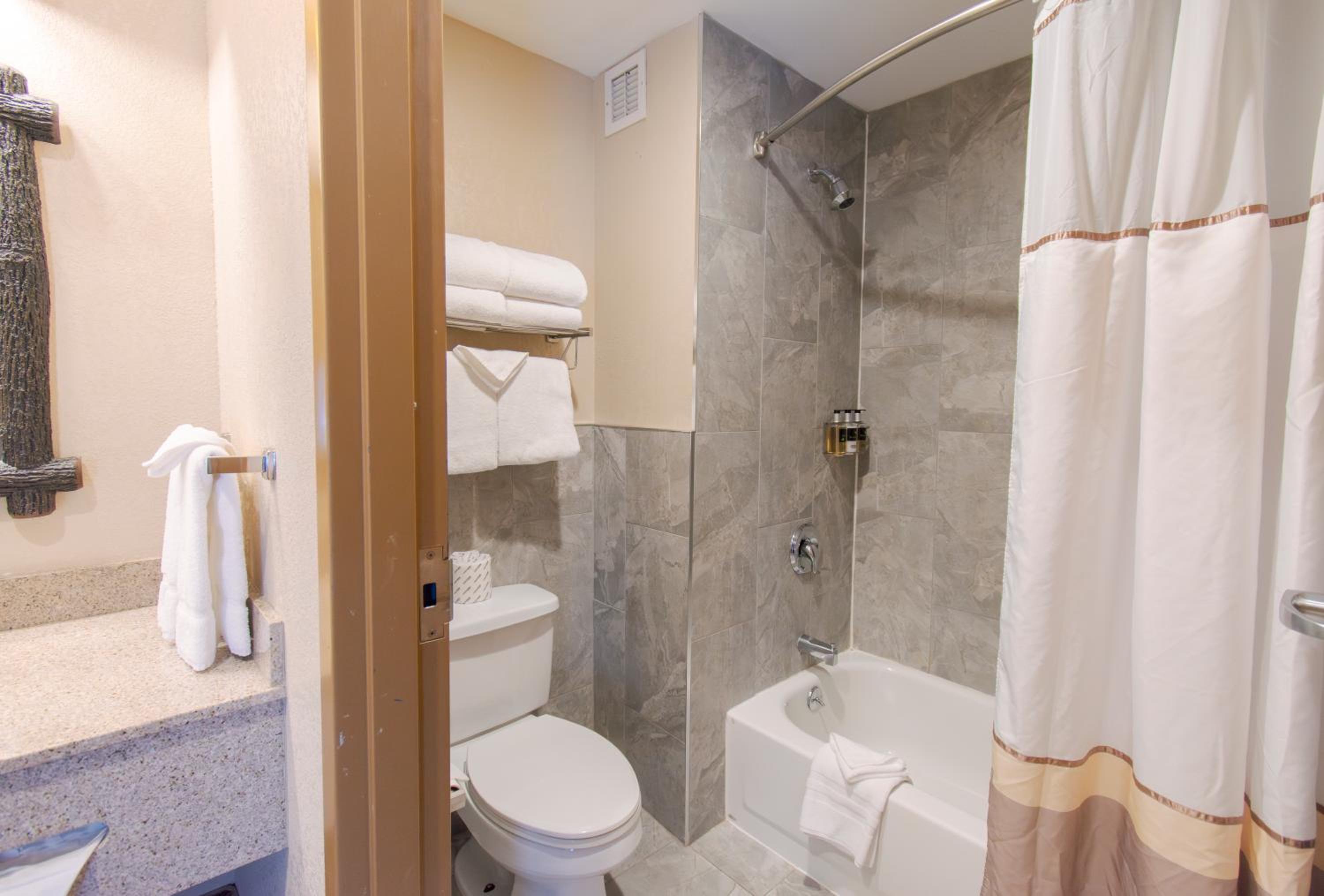 Room with Indoor Waterpark - Photo 10