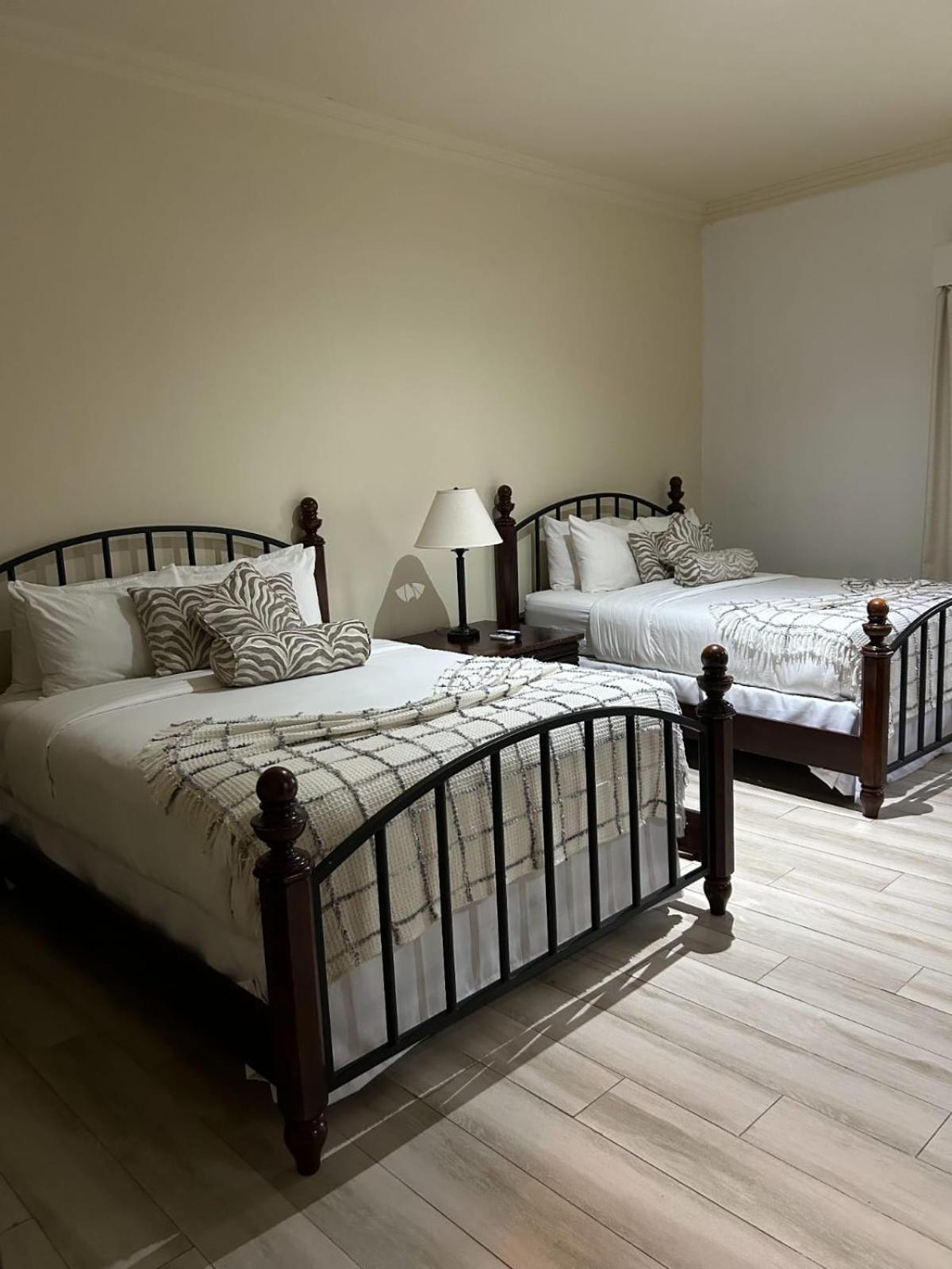 Twin Room photo 3
