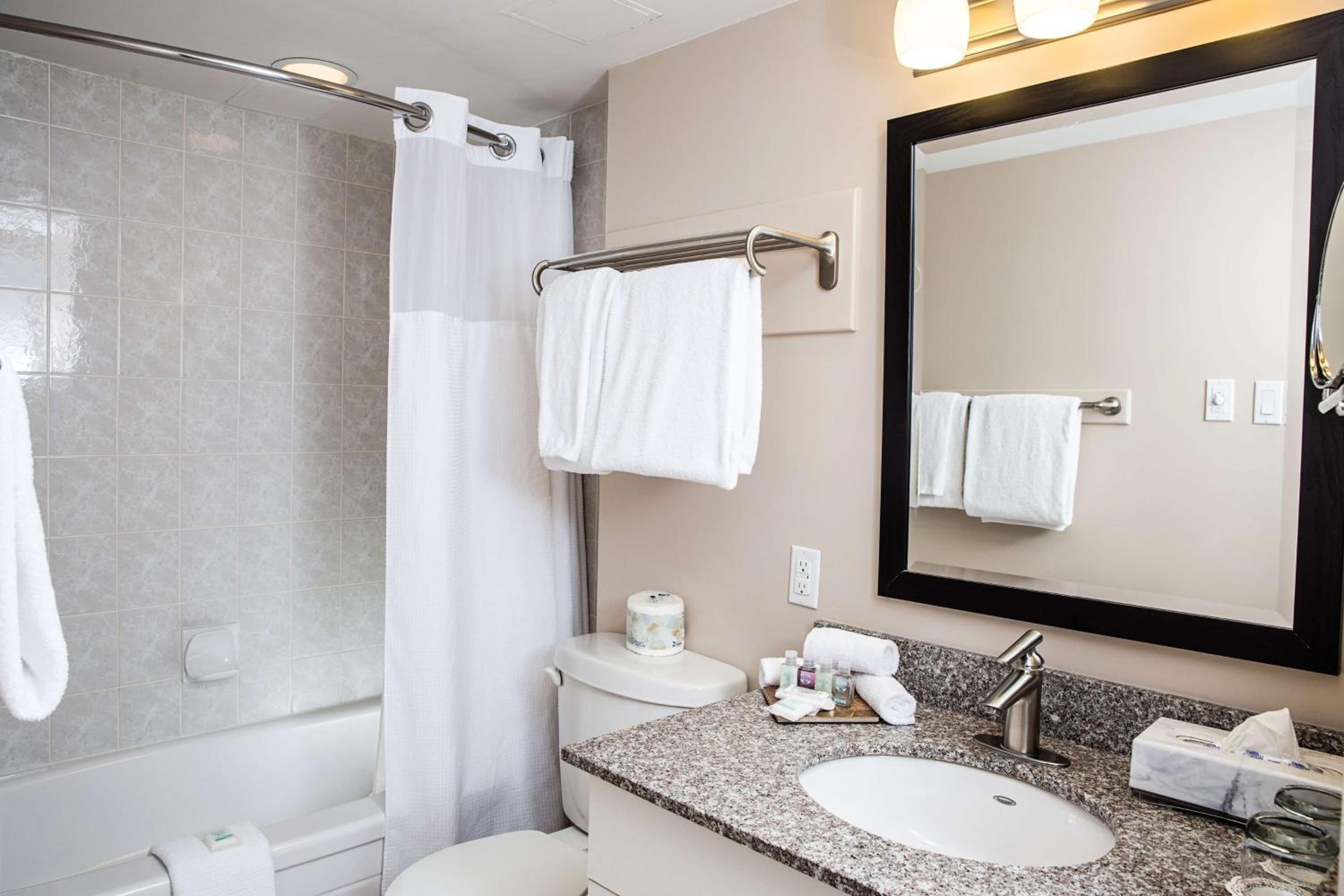 Premium Suite Kitchenette Queen photo 3