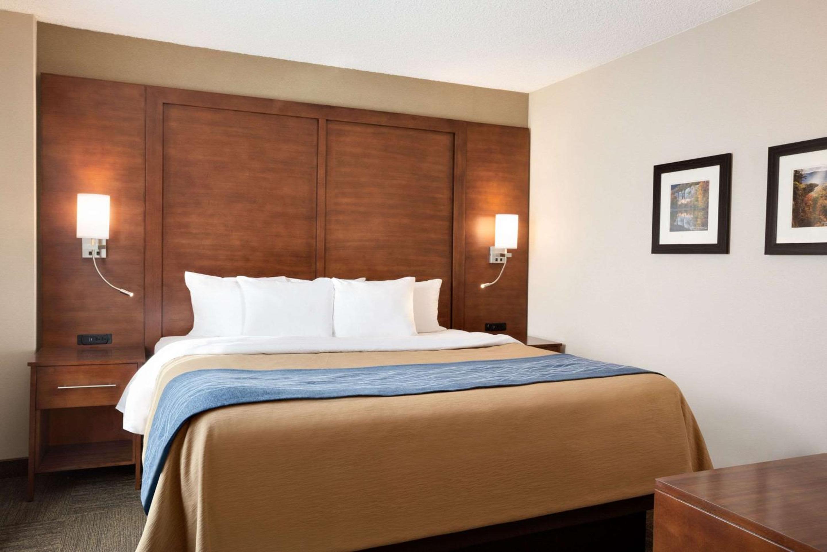 King Suite with Sofa Bed - Non-Smoking - Photo 4