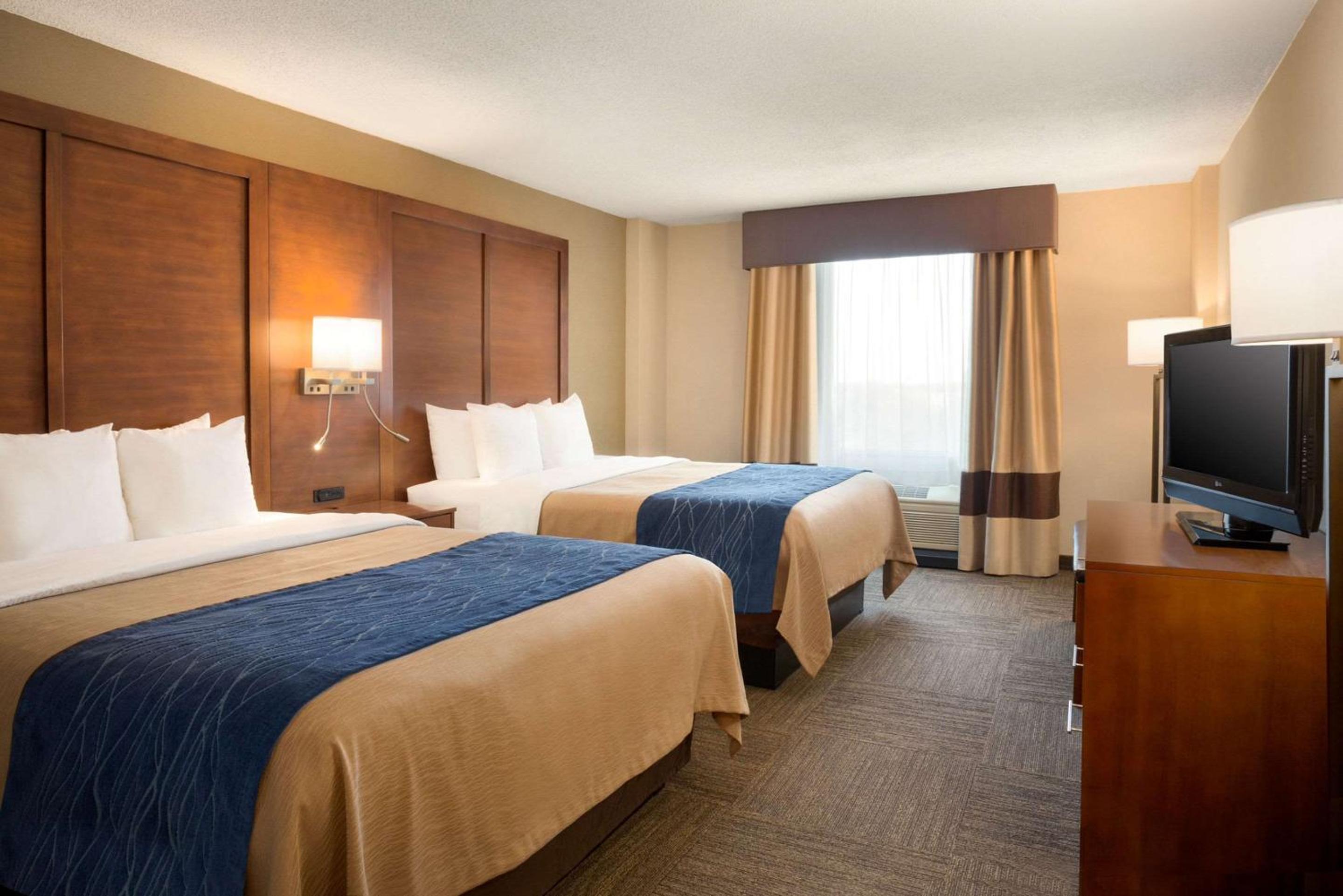 Queen Suite with Two Queen Beds and Sofa Bed - Non-Smoking - Photo 4