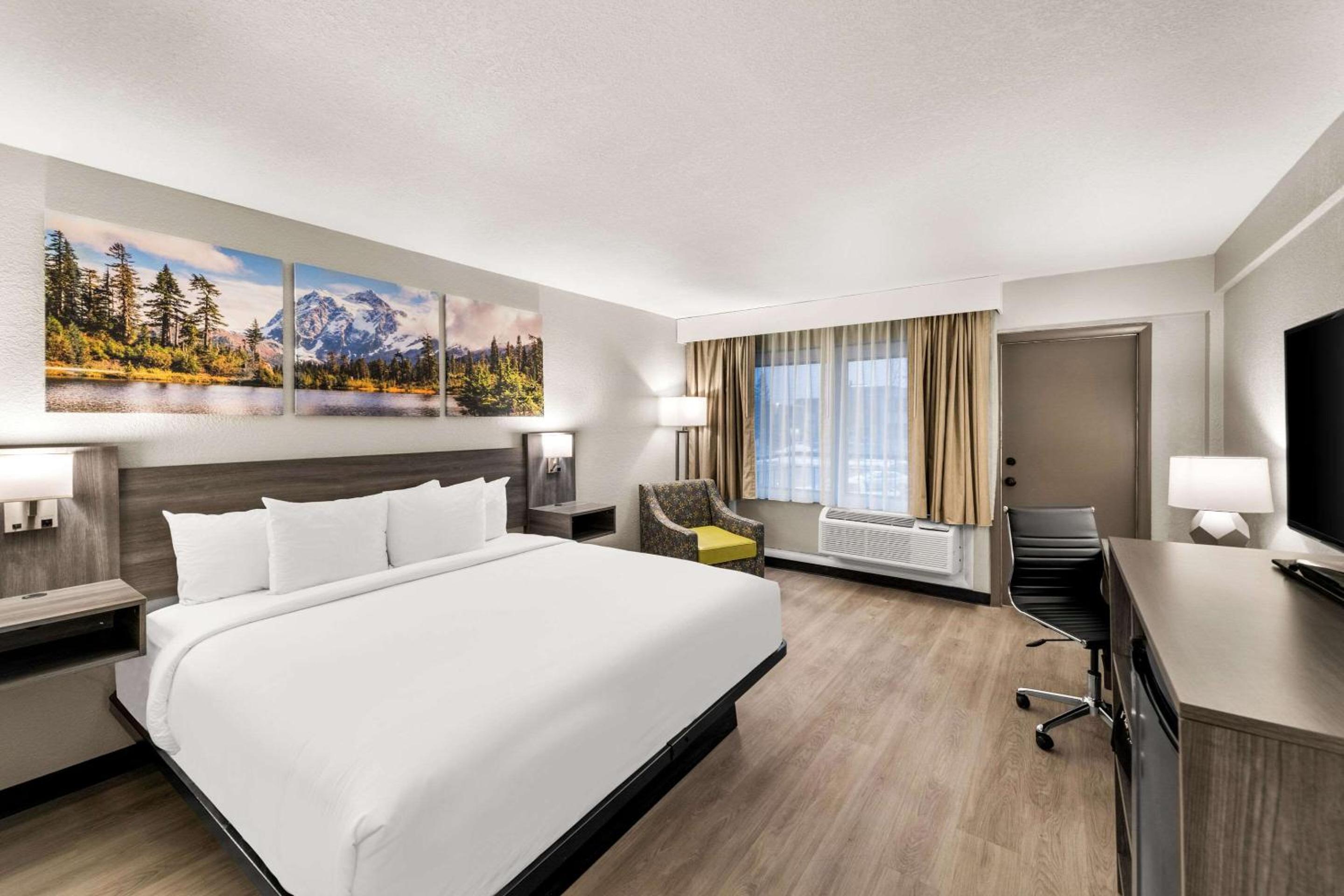 King Room - Pet Friendly/Non-Smoking