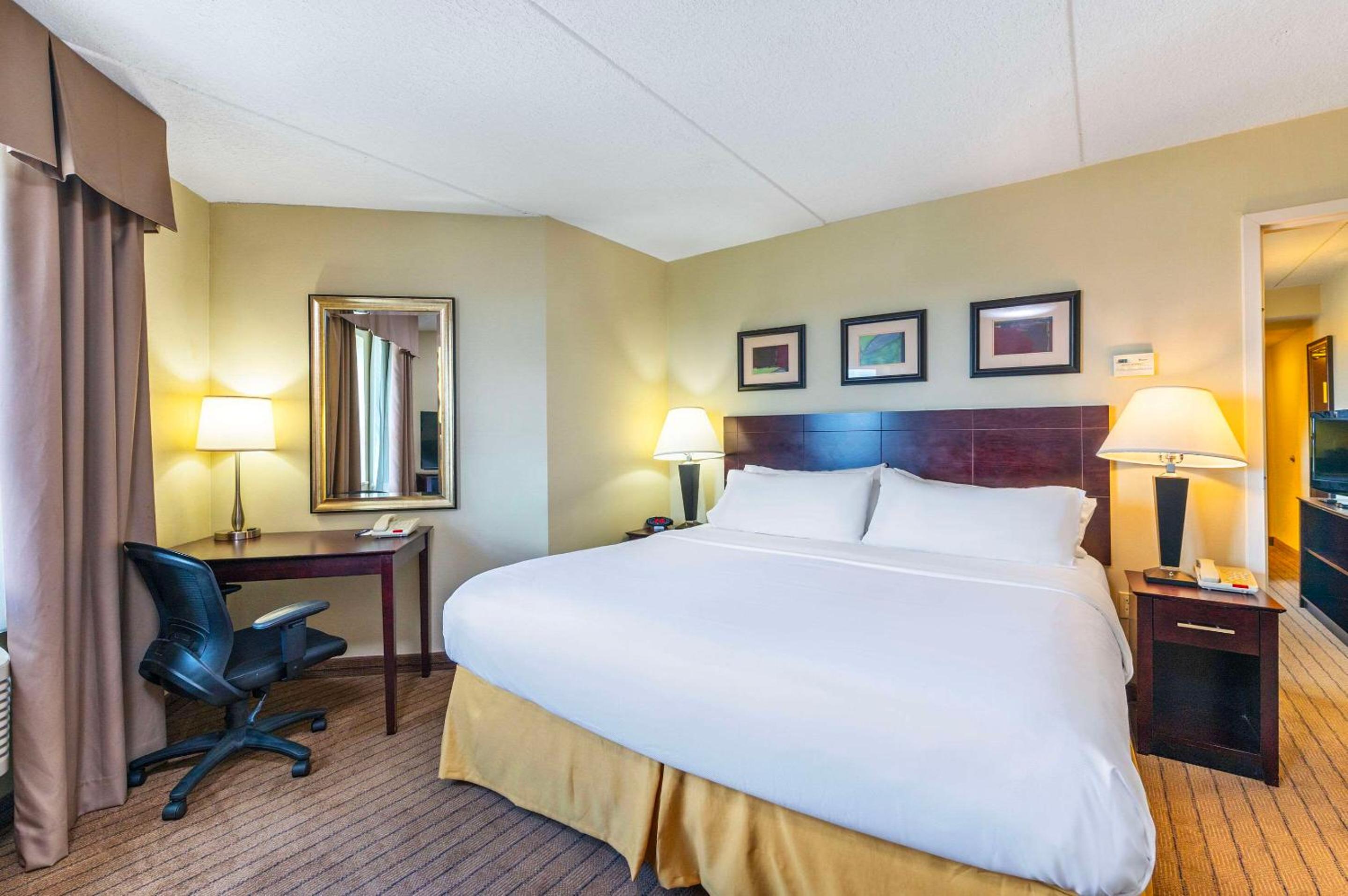 One Room King Suite with Sofa bed - Non Smoking photo 1