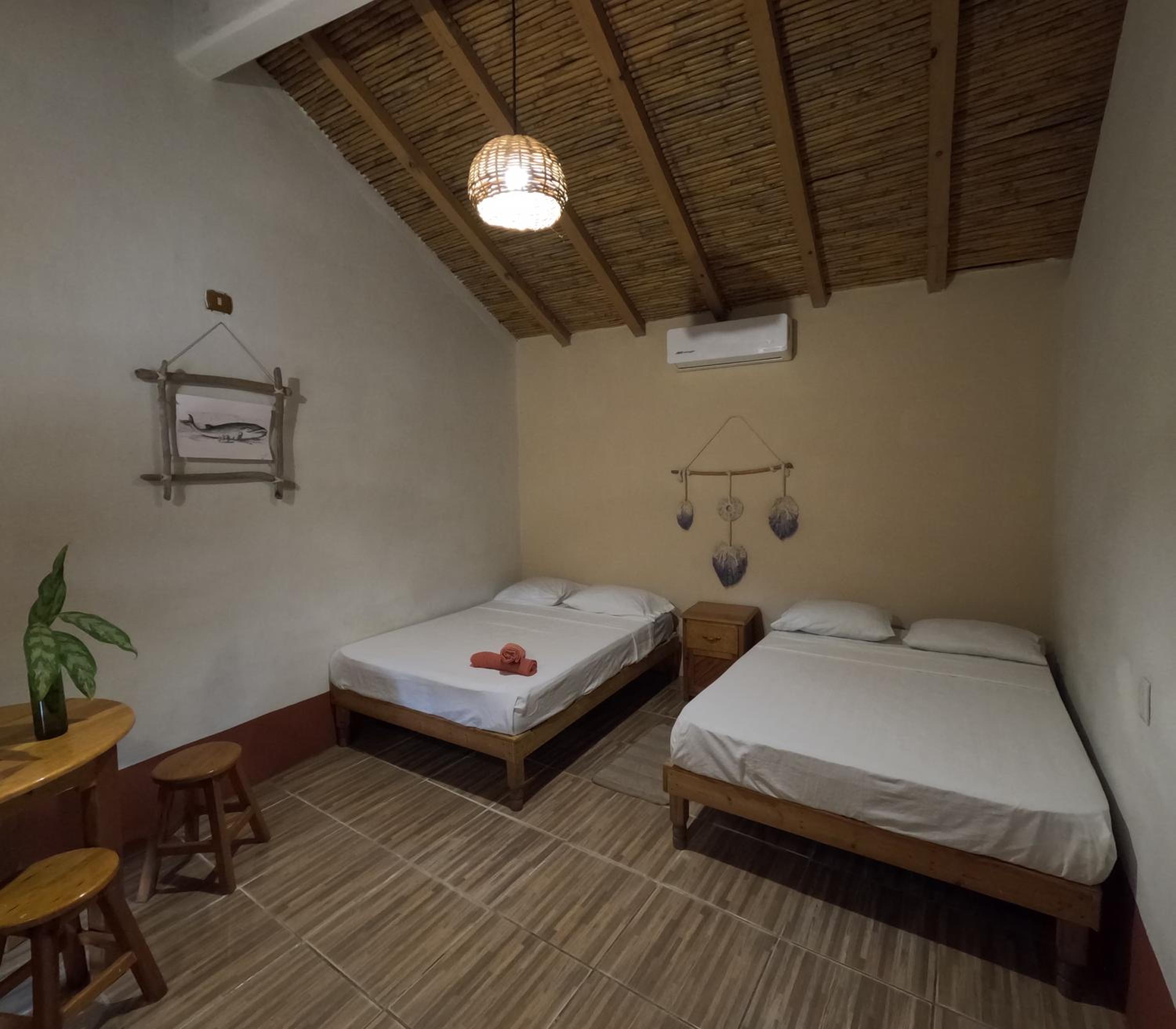 Twin Room photo 3