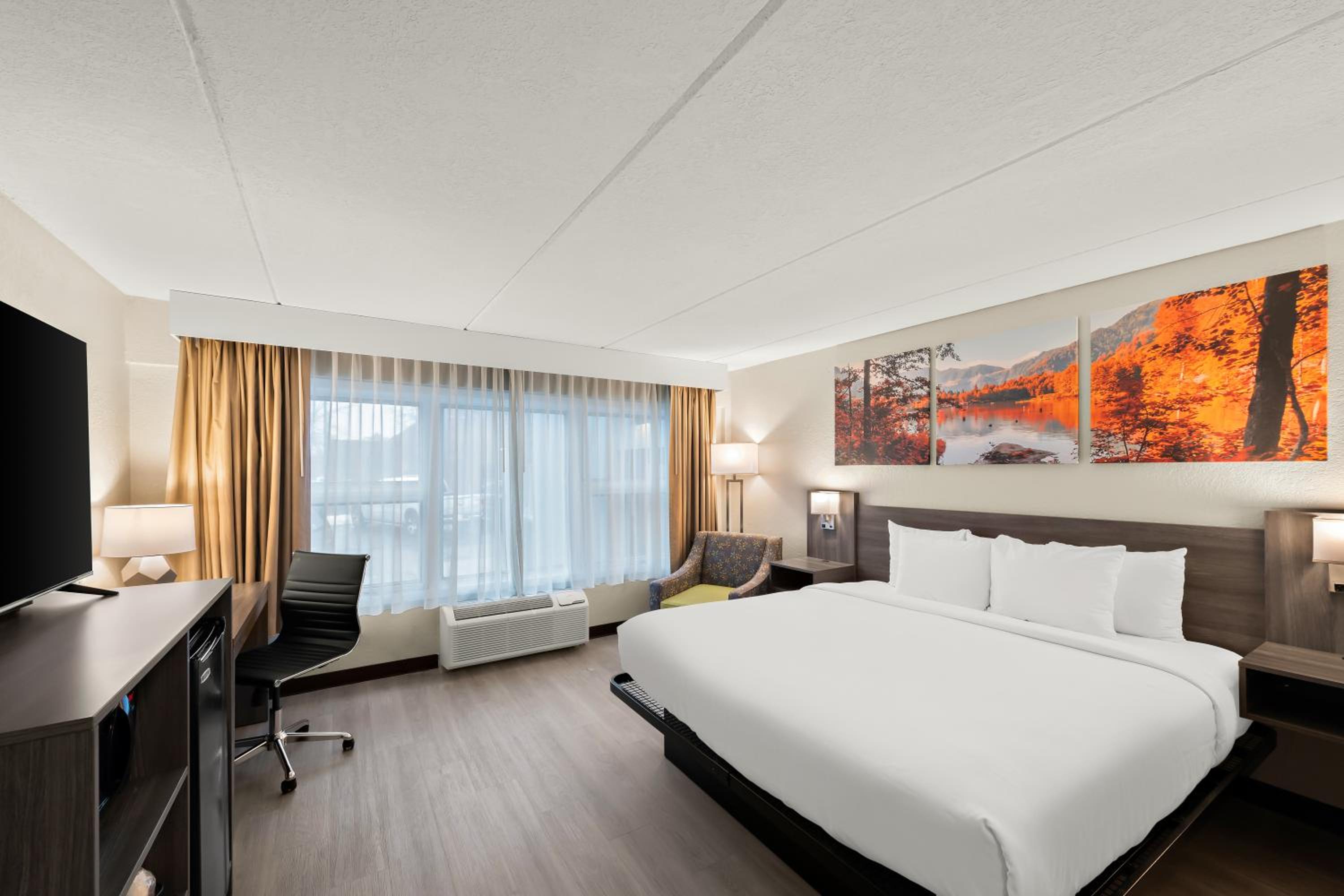 King Room - Pet Friendly/Non-Smoking photo 2