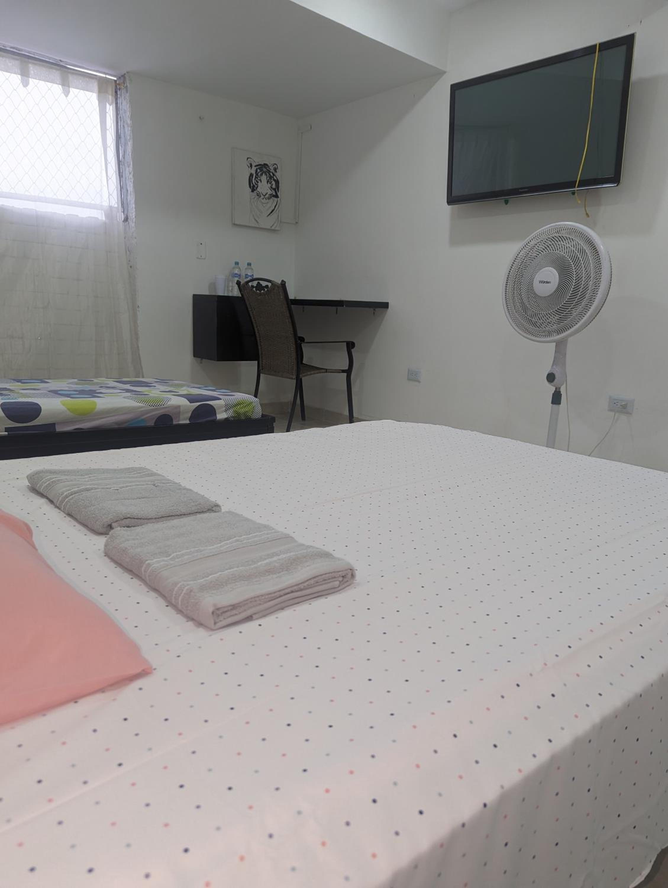 Twin Room photo 1