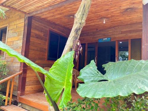 Triple Room with Sea View - Photo 25
