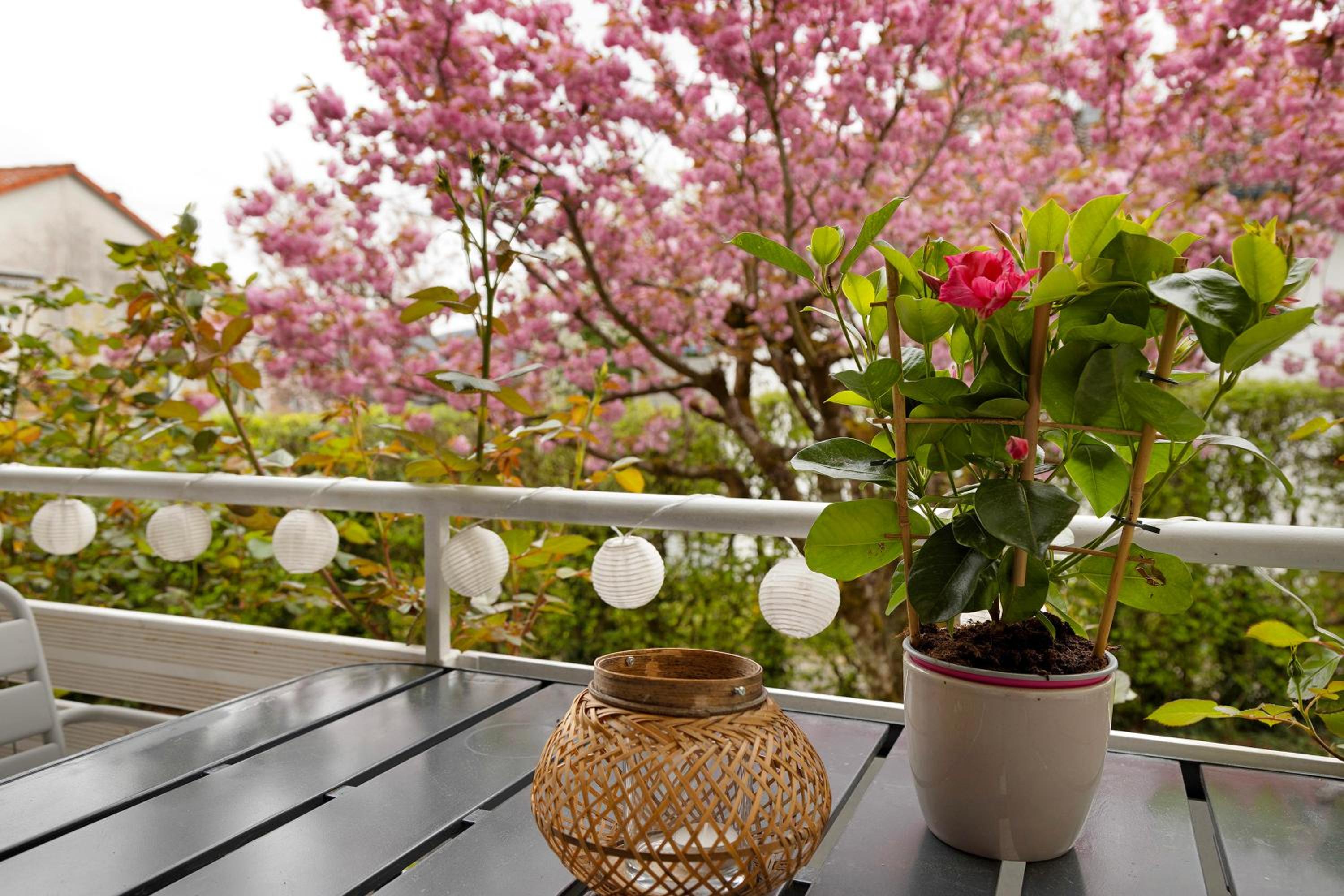 Superior One-Bedroom Apartment With Balcony photo 3