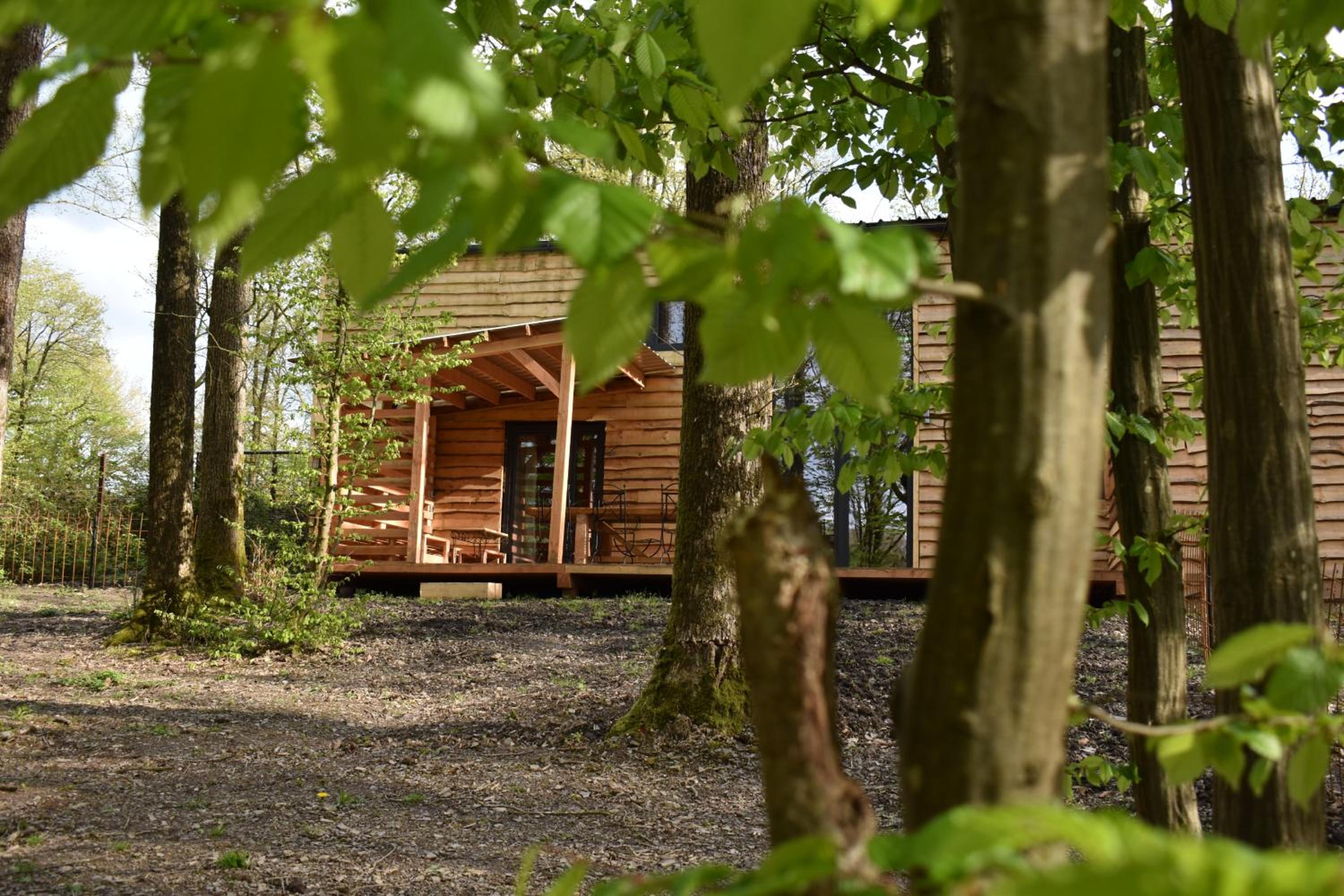 Three-Bedroom Chalet photo 3