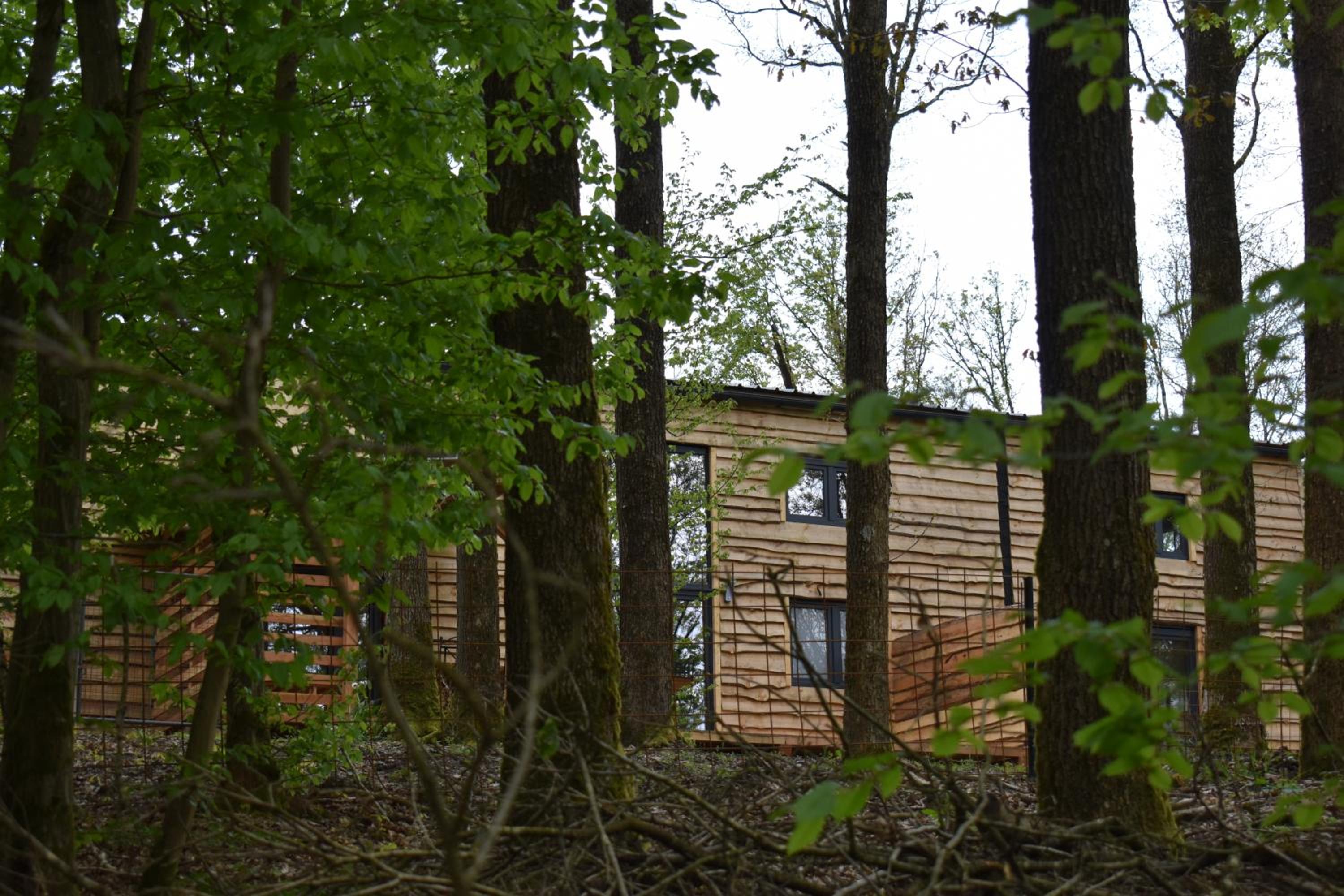 Three-Bedroom Chalet photo 2