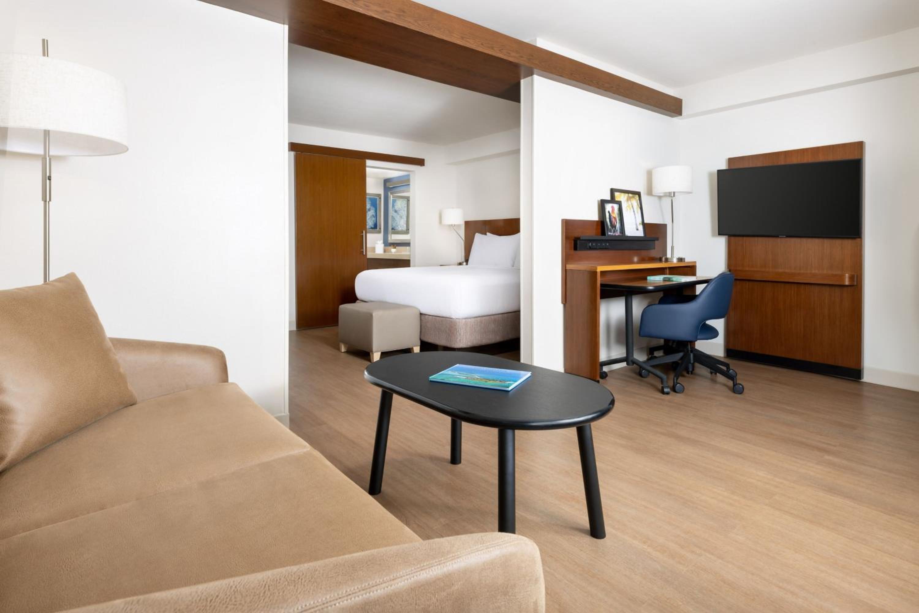 King Suite with Sofa Bed - Mobility Accessible with Roll-in Shower