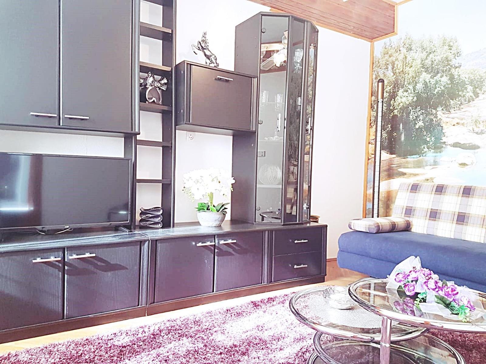 One Bedroom Apartment