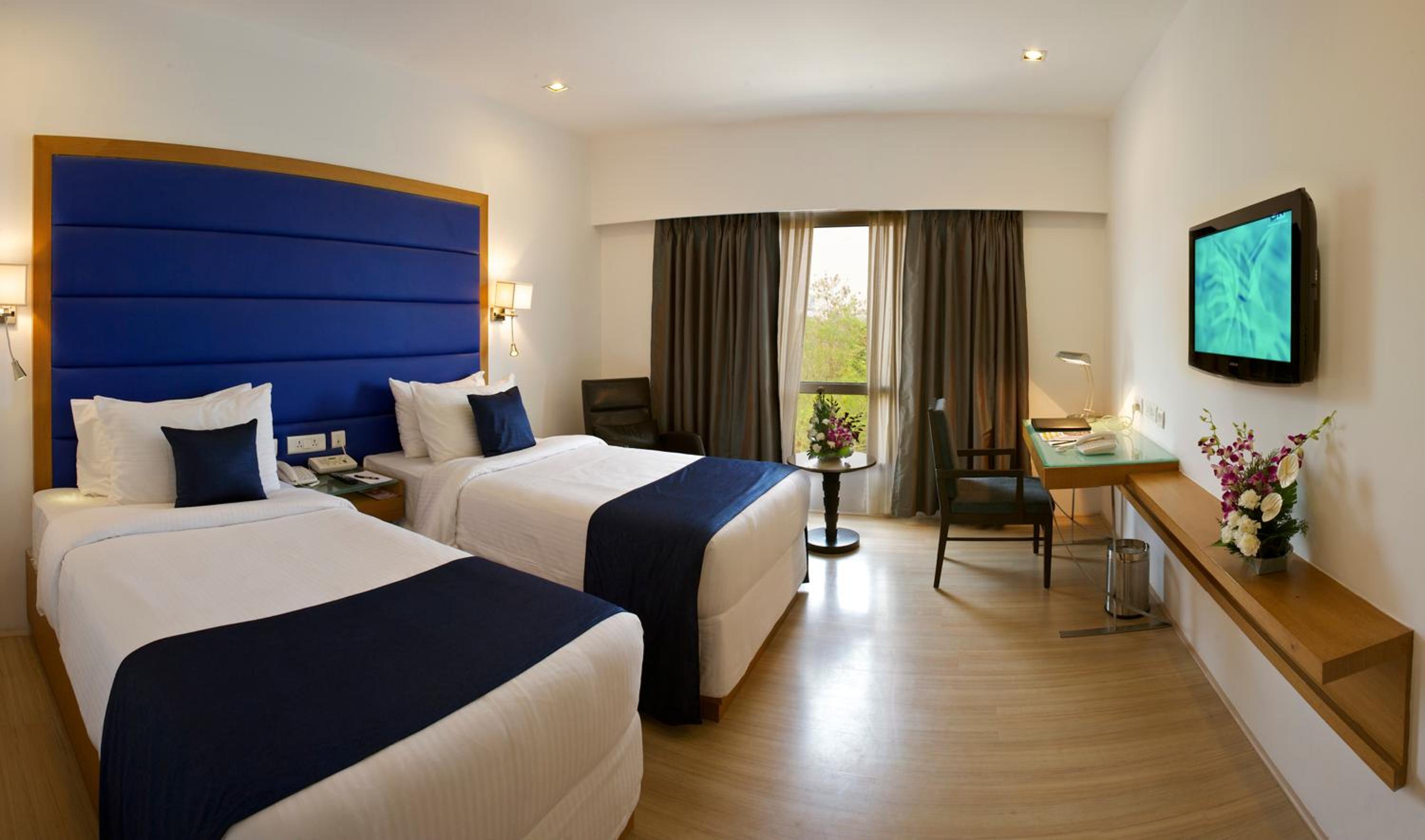 Deluxe Double Room photo 3