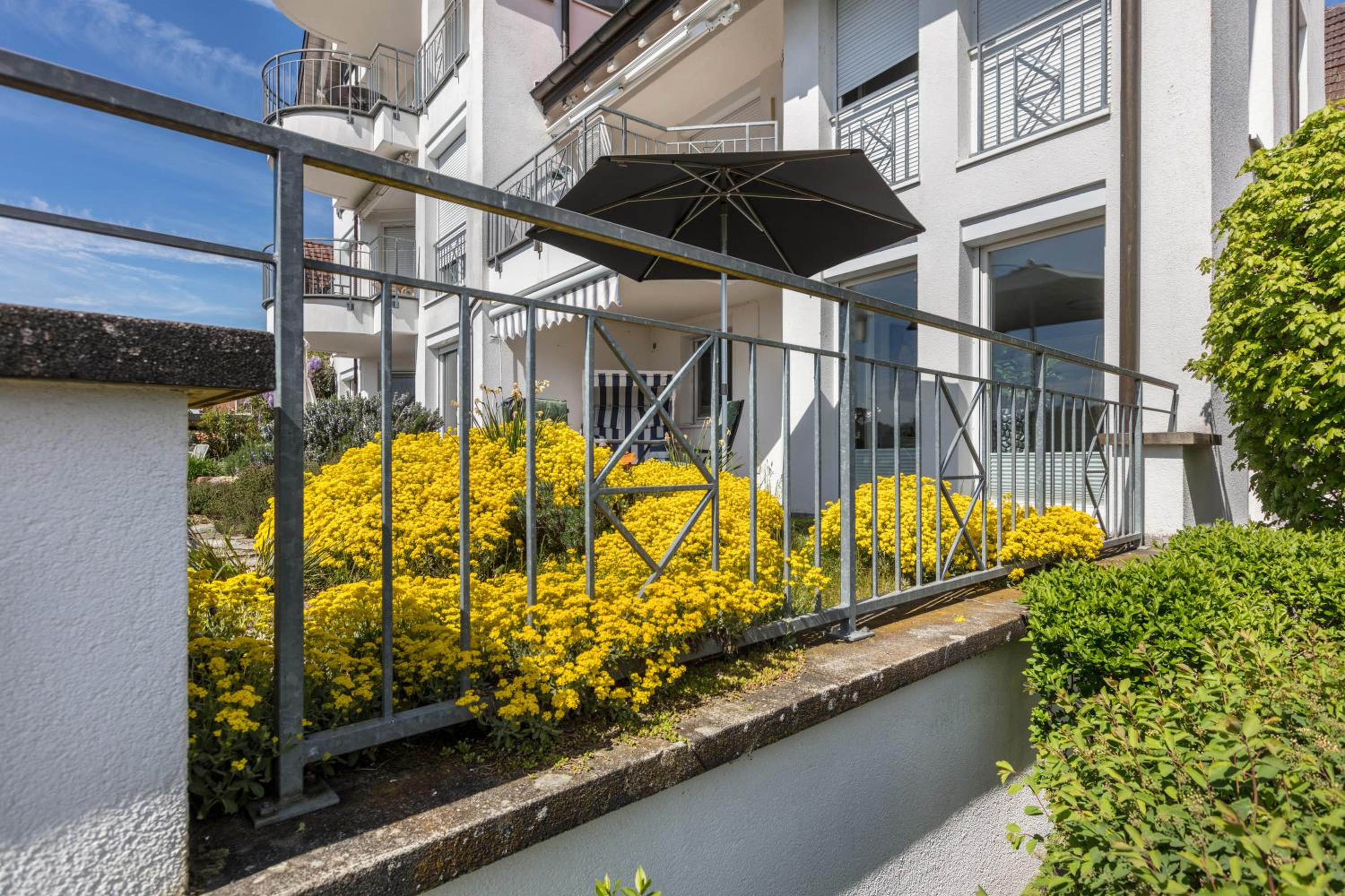 Studio with Terrace photo 2