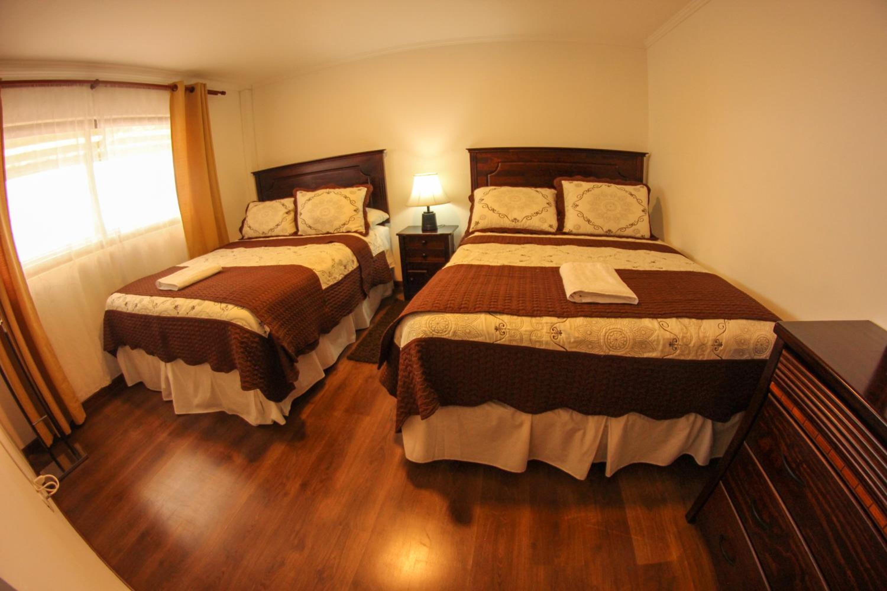 Twin Room photo 1