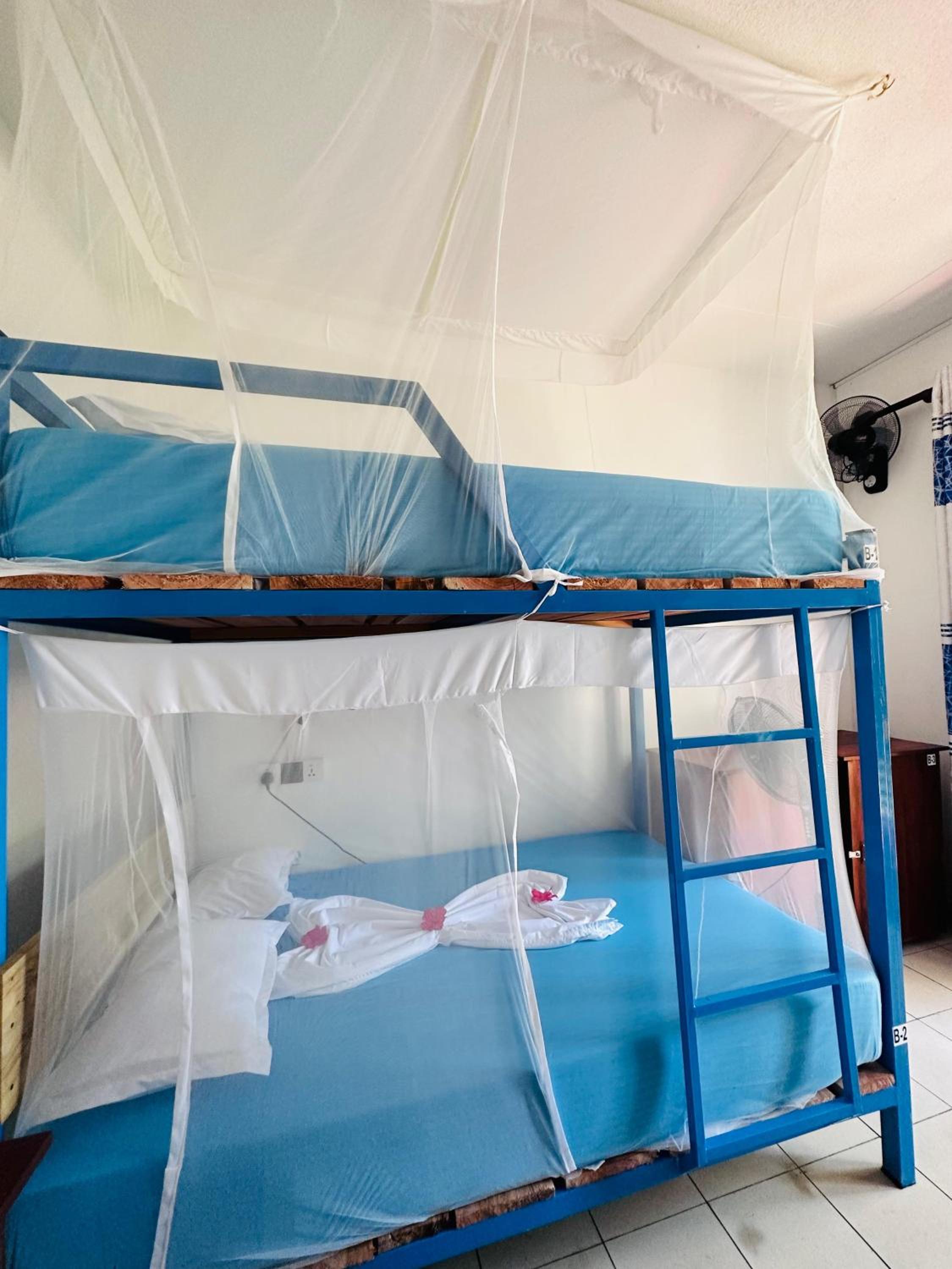 4-Bed Mixed Dormitory Room photo 3