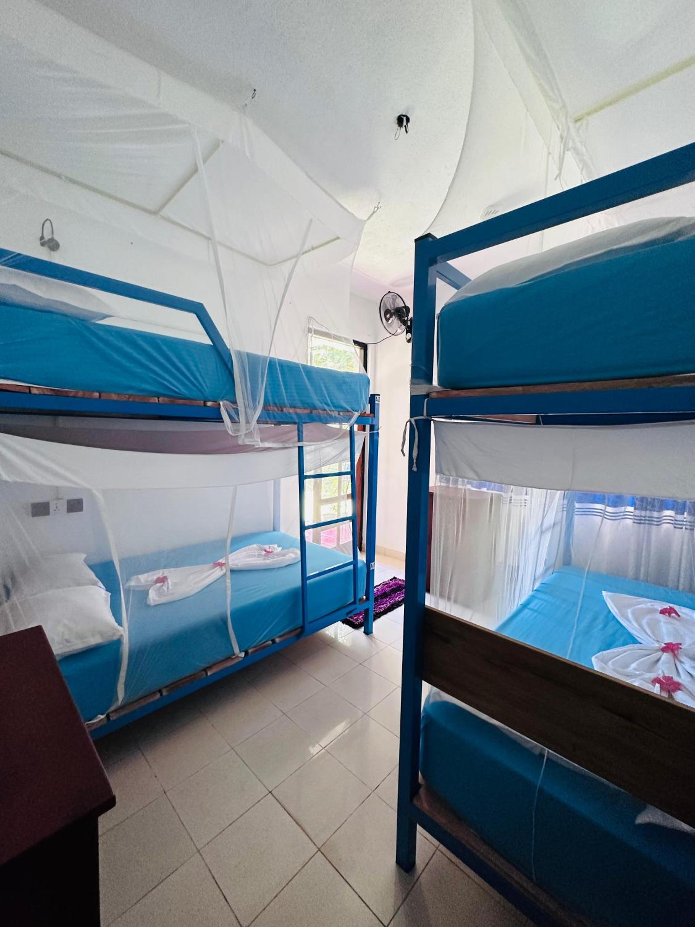 4-Bed Mixed Dormitory Room photo 1