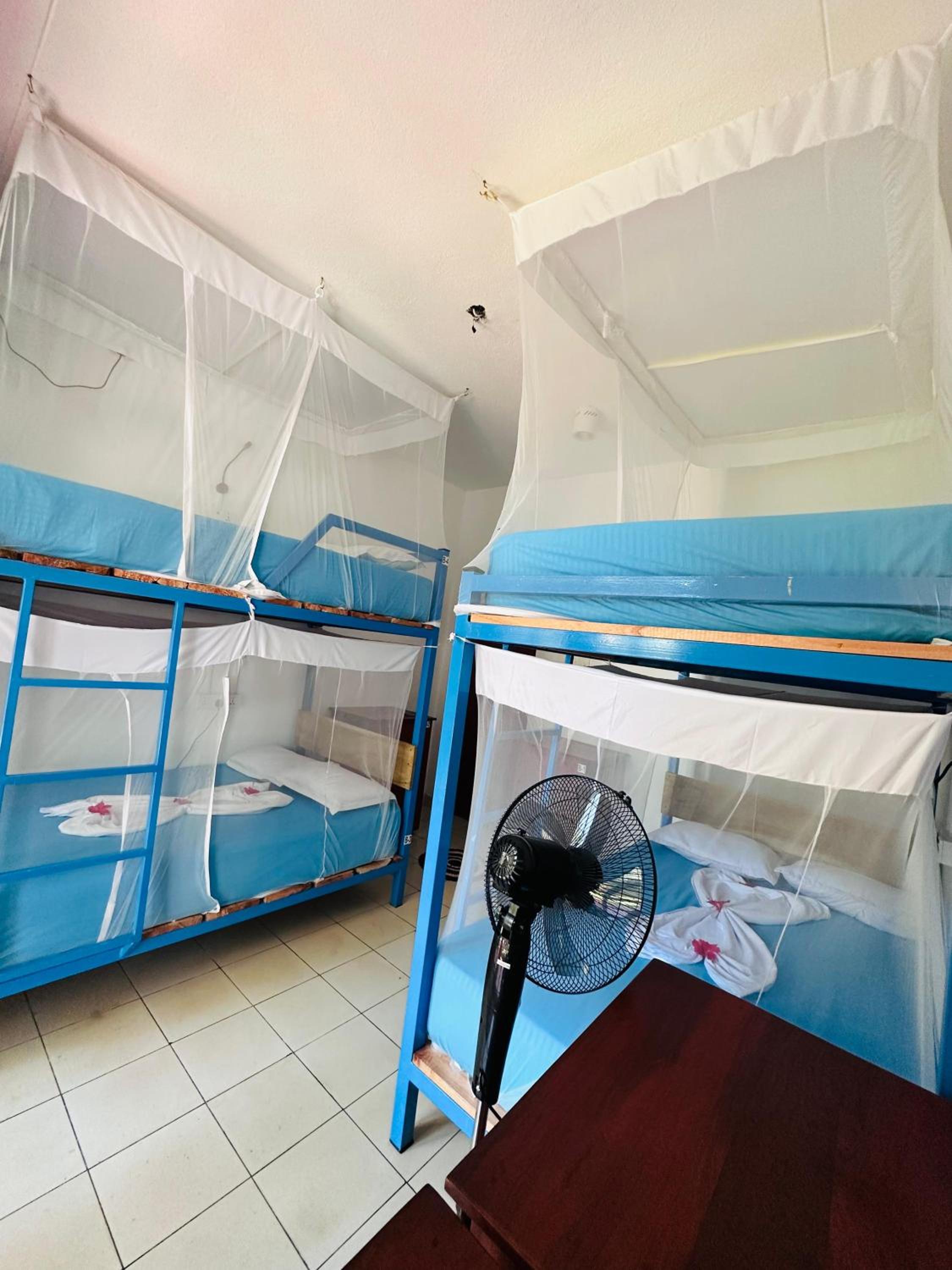 4-Bed Mixed Dormitory Room photo 2