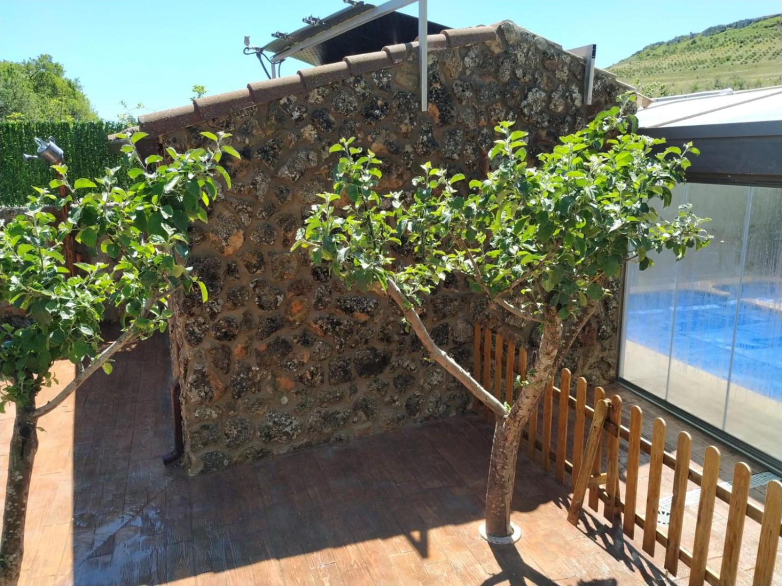 Holiday Home - Photo 5