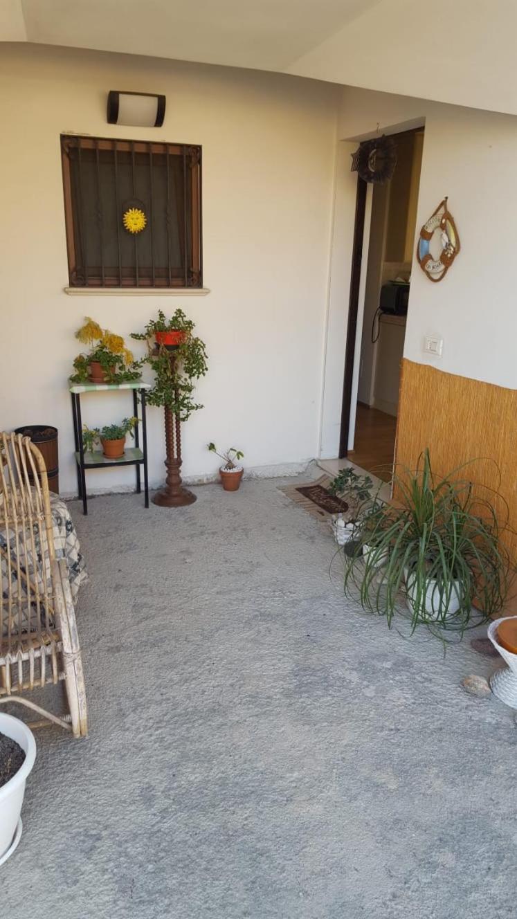 One-Bedroom House photo 3