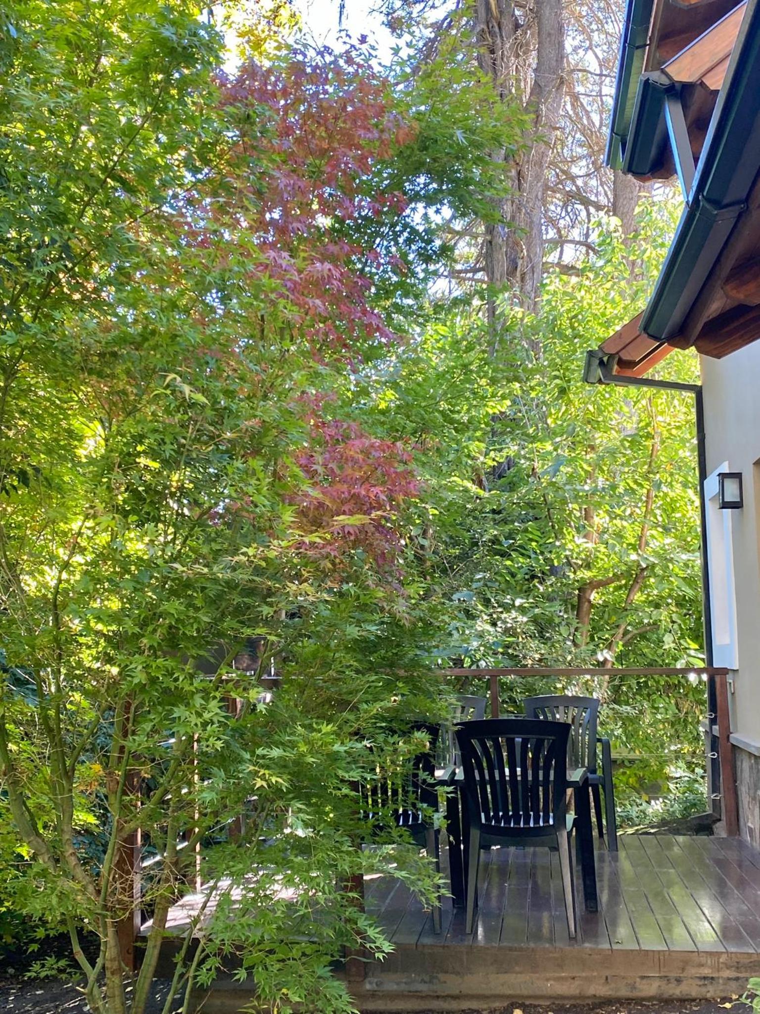 Three-Bedroom Chalet photo 2