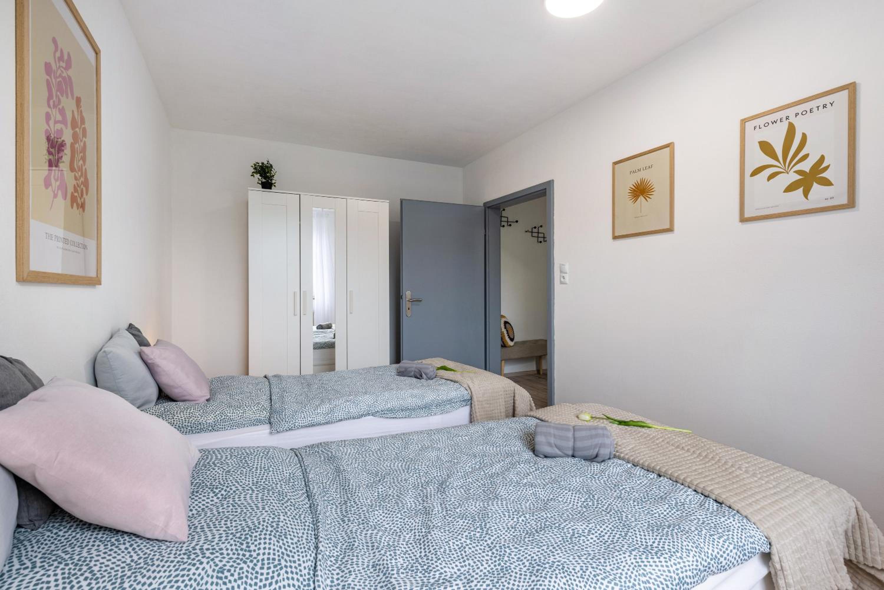 Apartment with Terrace photo 2