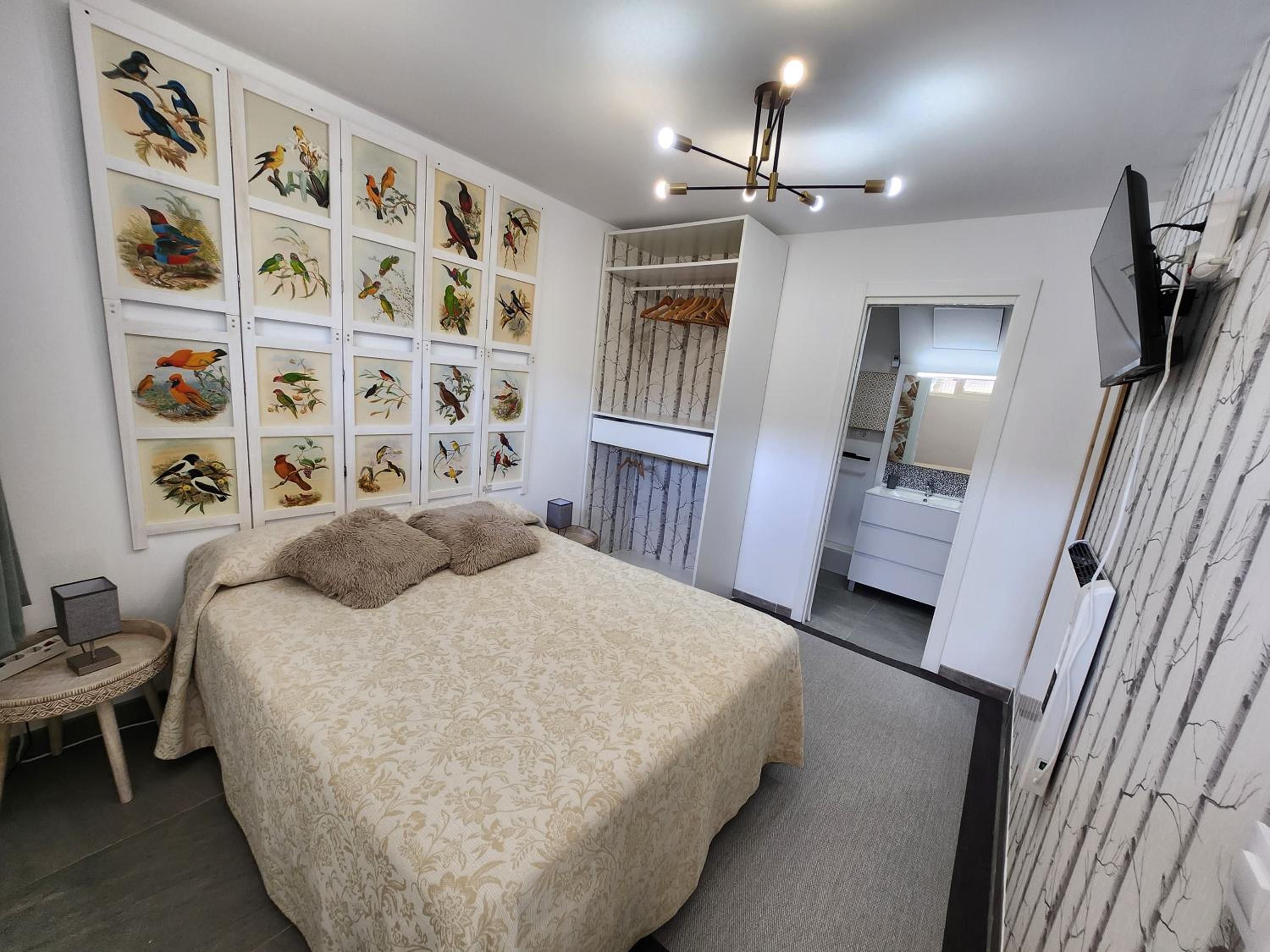 Estudio con Sofá Cama y Cocina