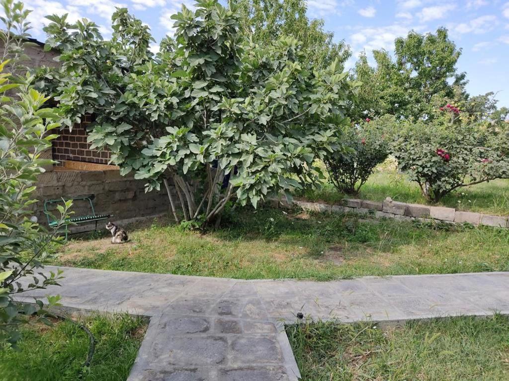 Three-Bedroom House photo 2