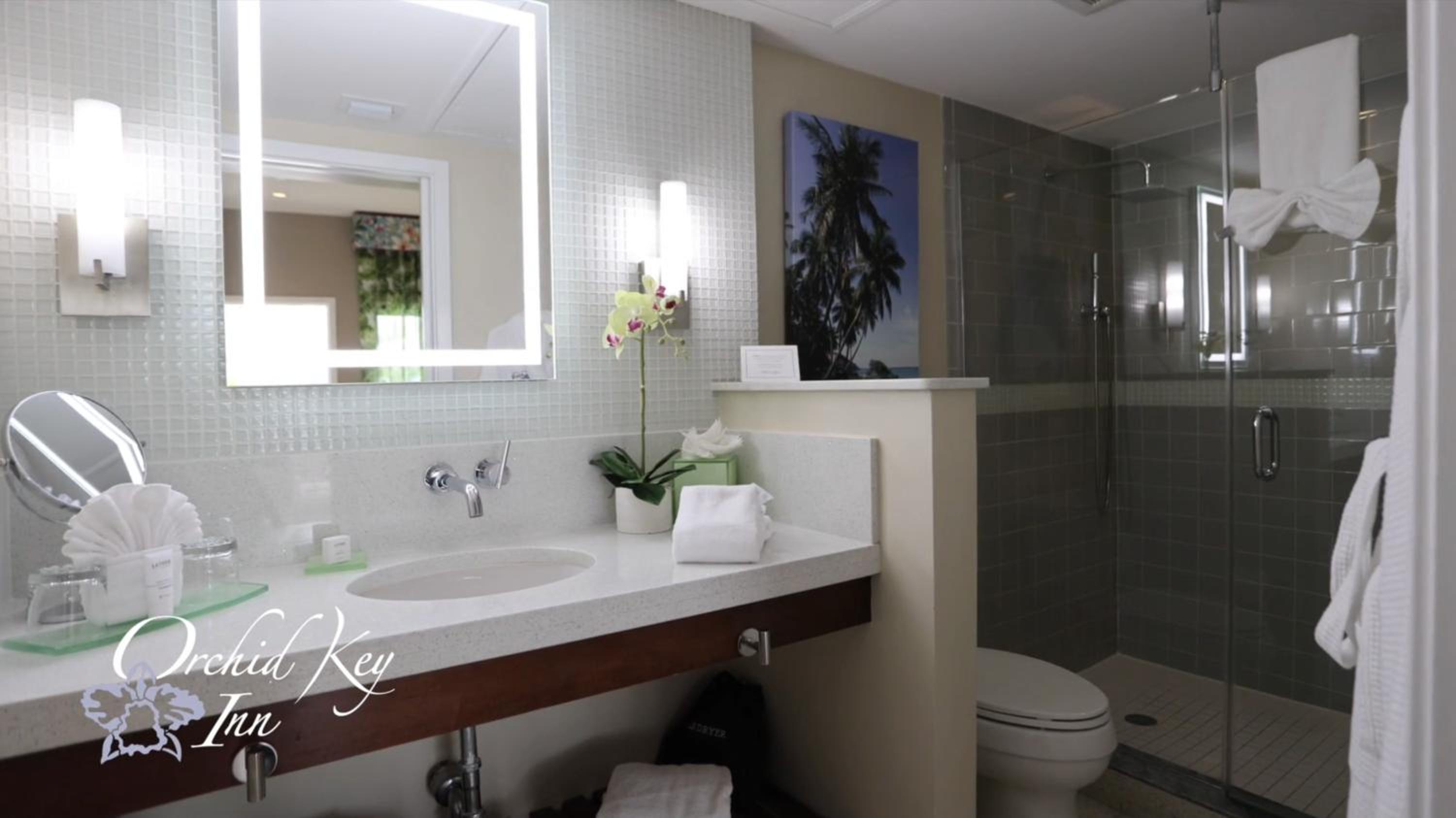 Deluxe King Room - Photo 16