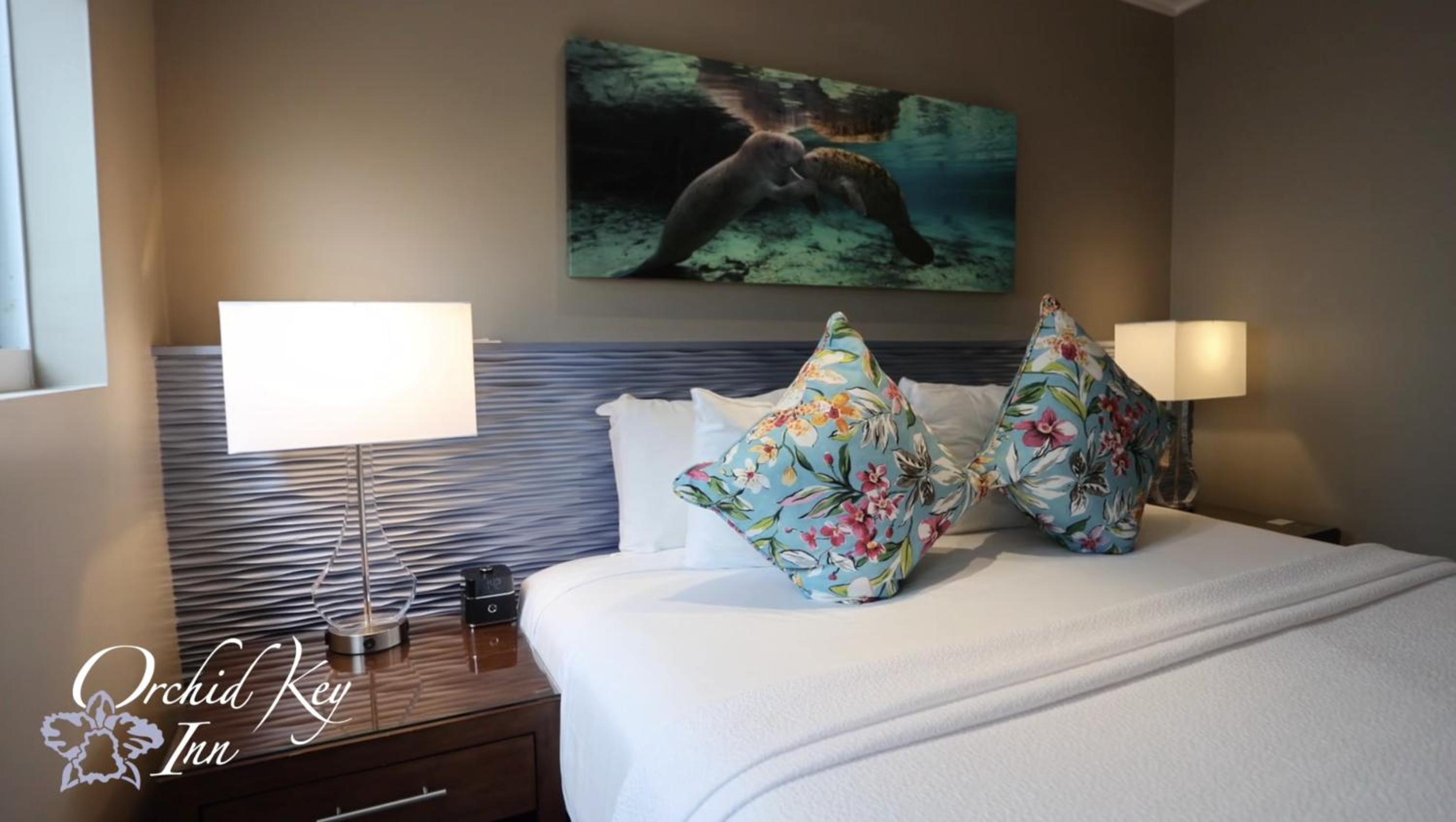Deluxe King Room - Photo 5