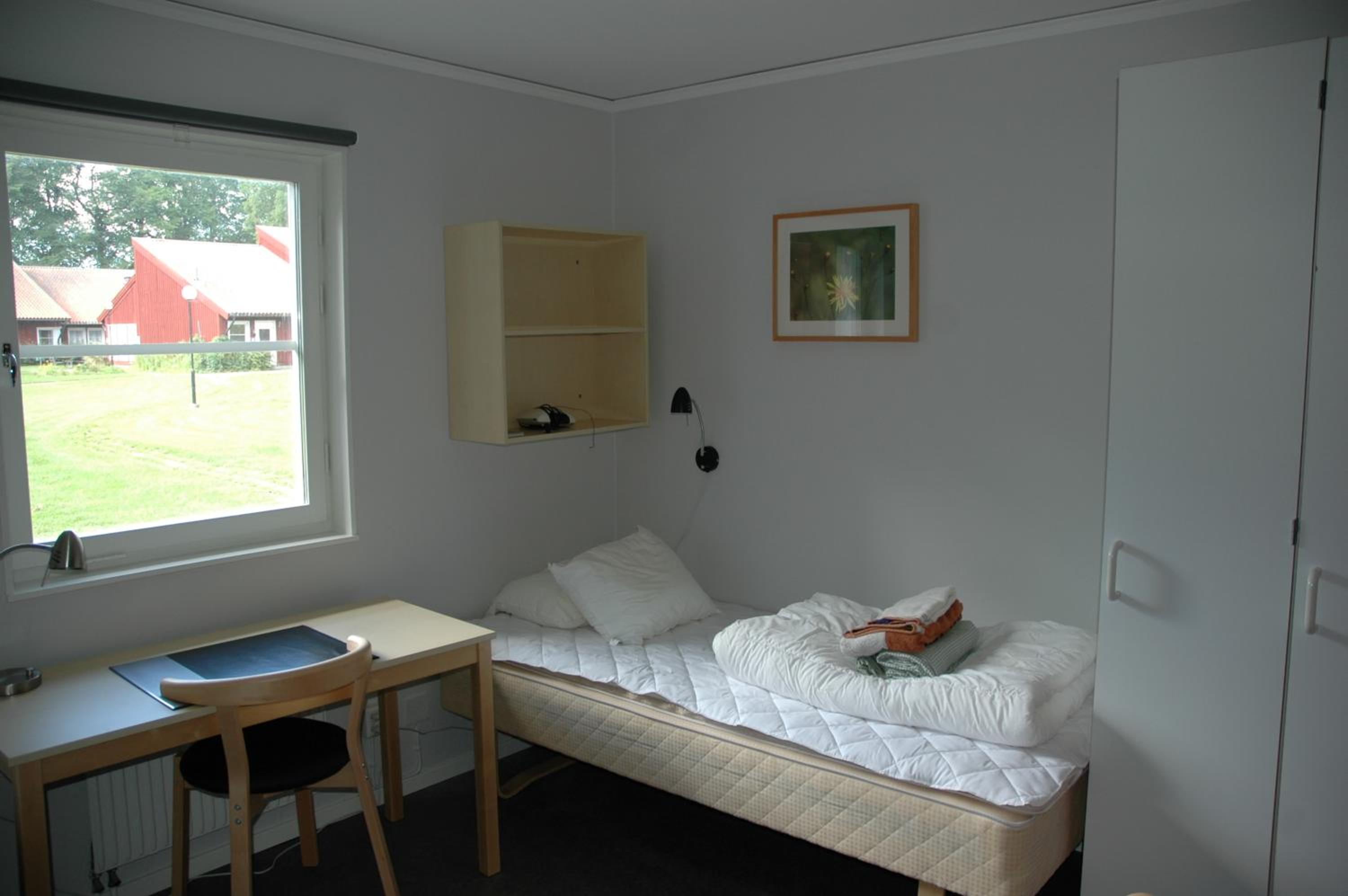 Single Room photo 3