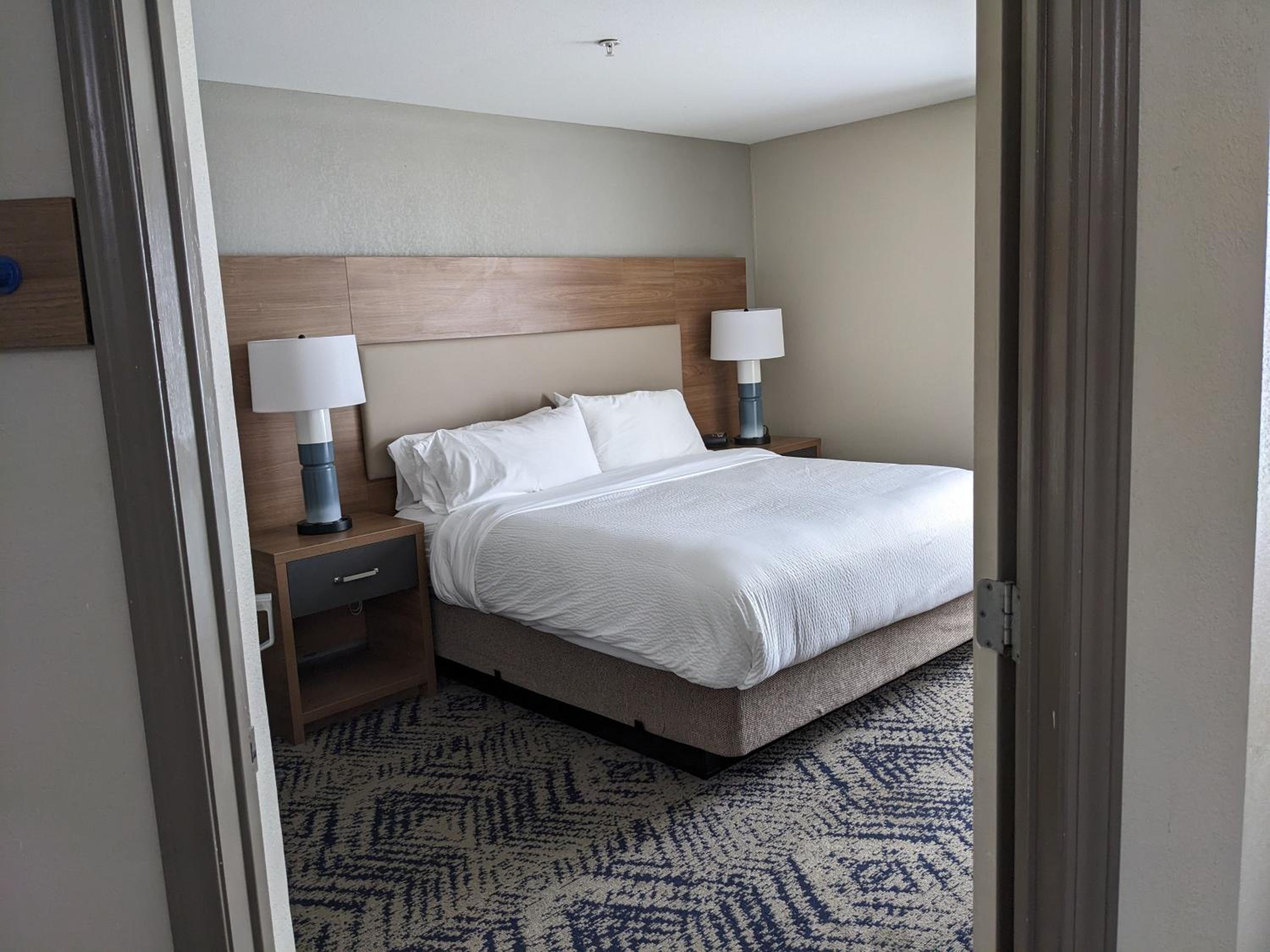 One-Bedroom Suite - Photo 3