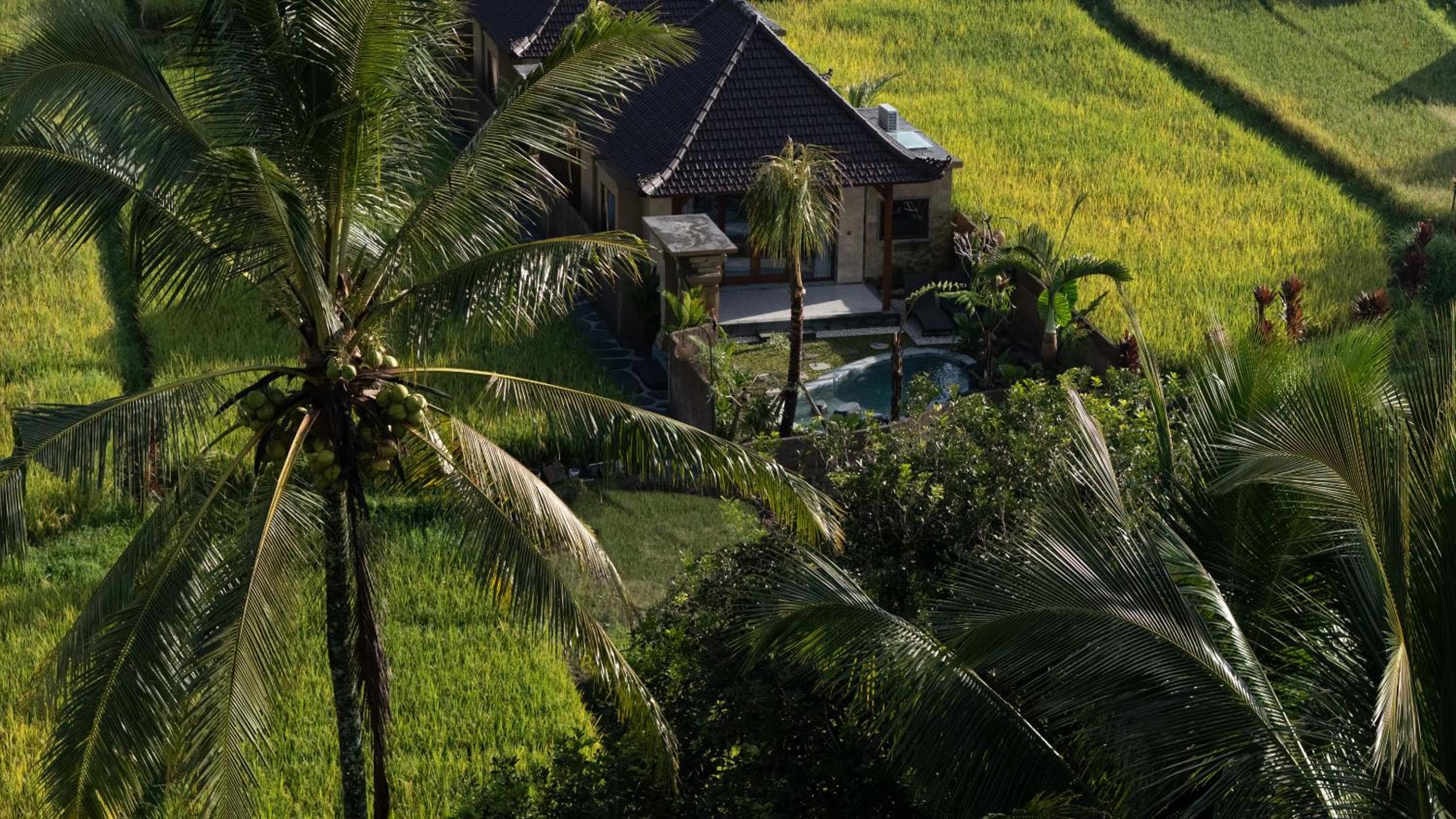 One Bedroom Villa with Private Pool - Photo 5